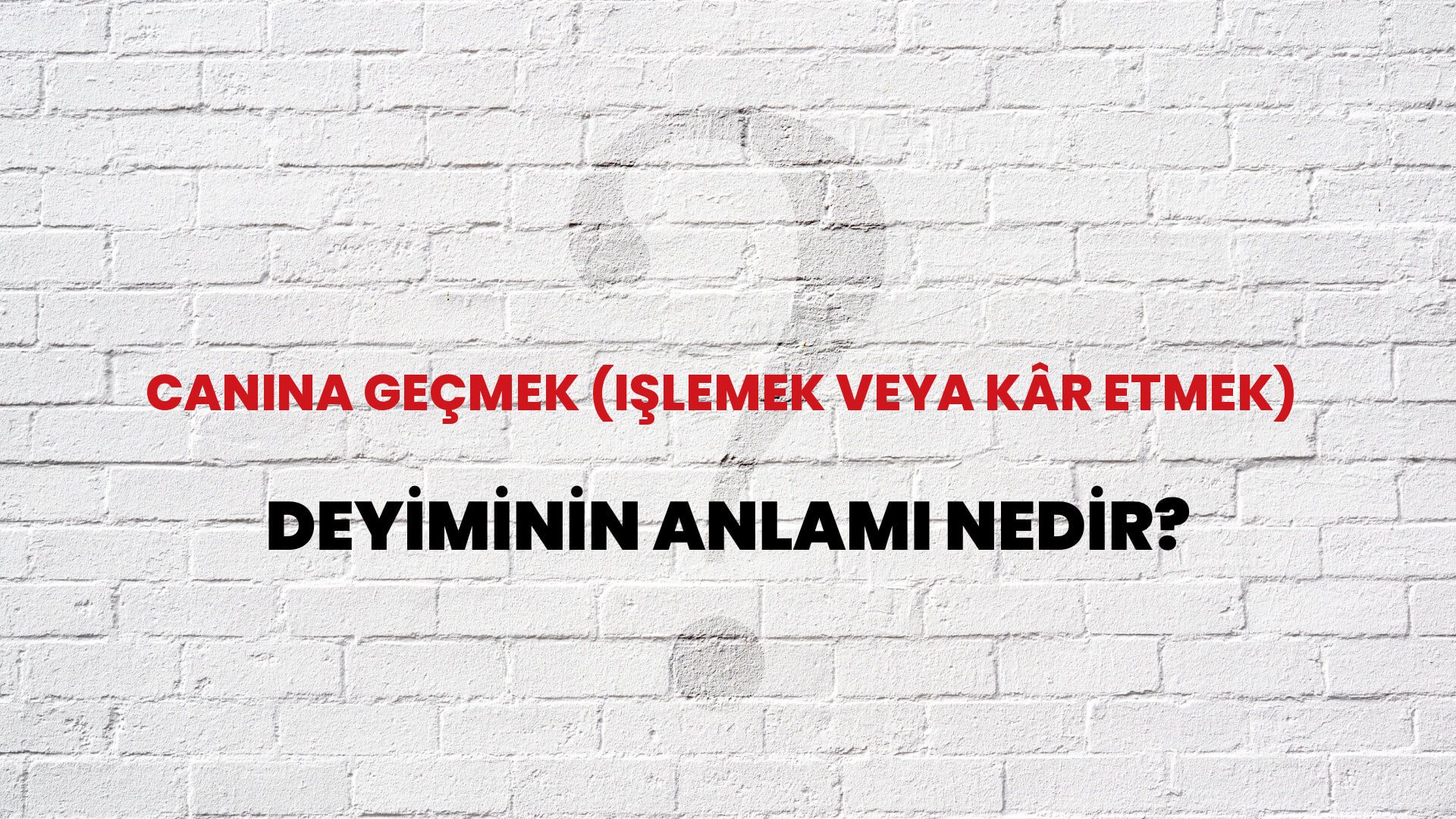 Canına Geçmek (Işlemek Veya Kâr Etmek) Deyiminin Anlamı Nedir?