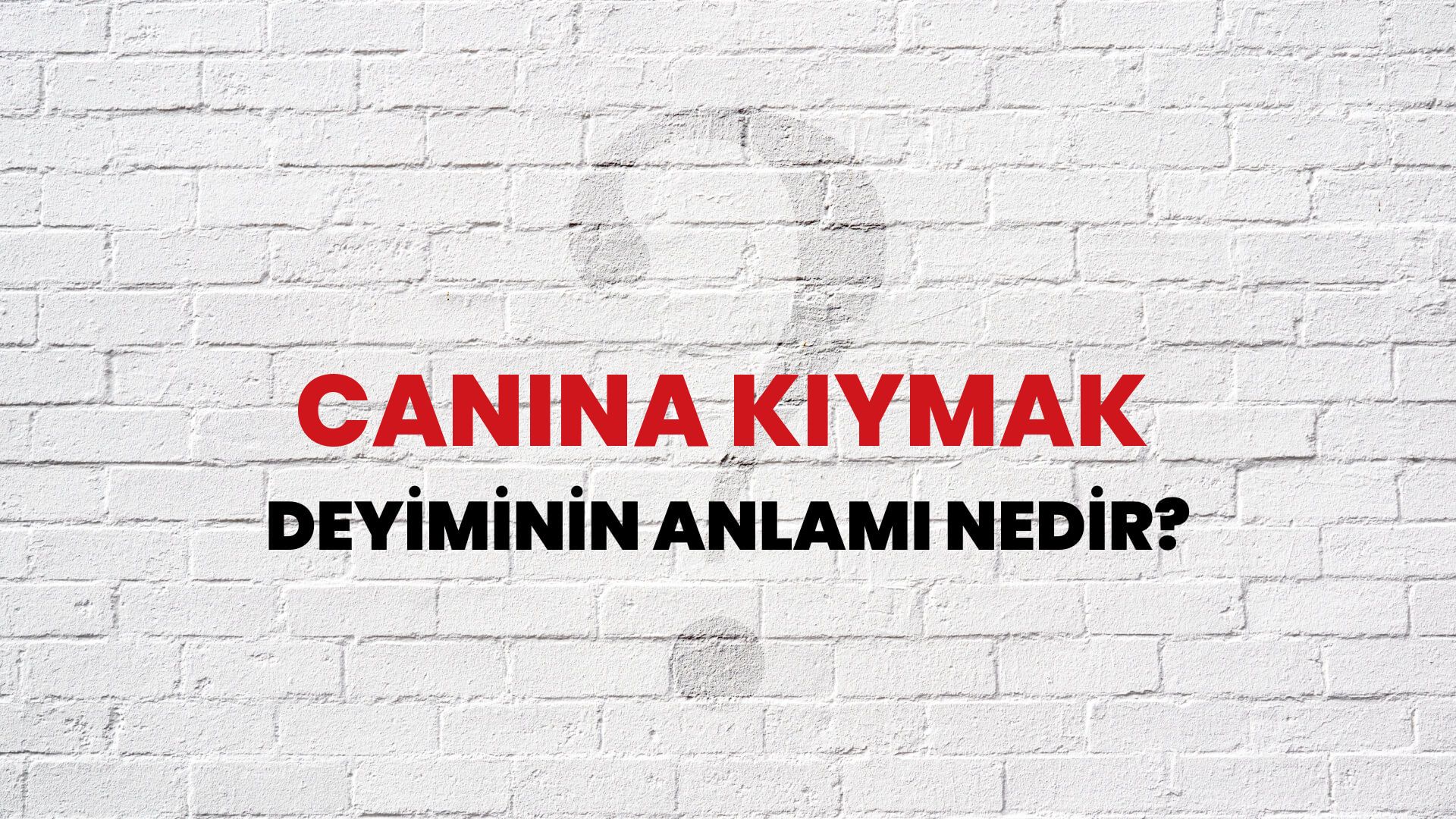 Canına Kıymak Deyiminin Anlamı Nedir?
