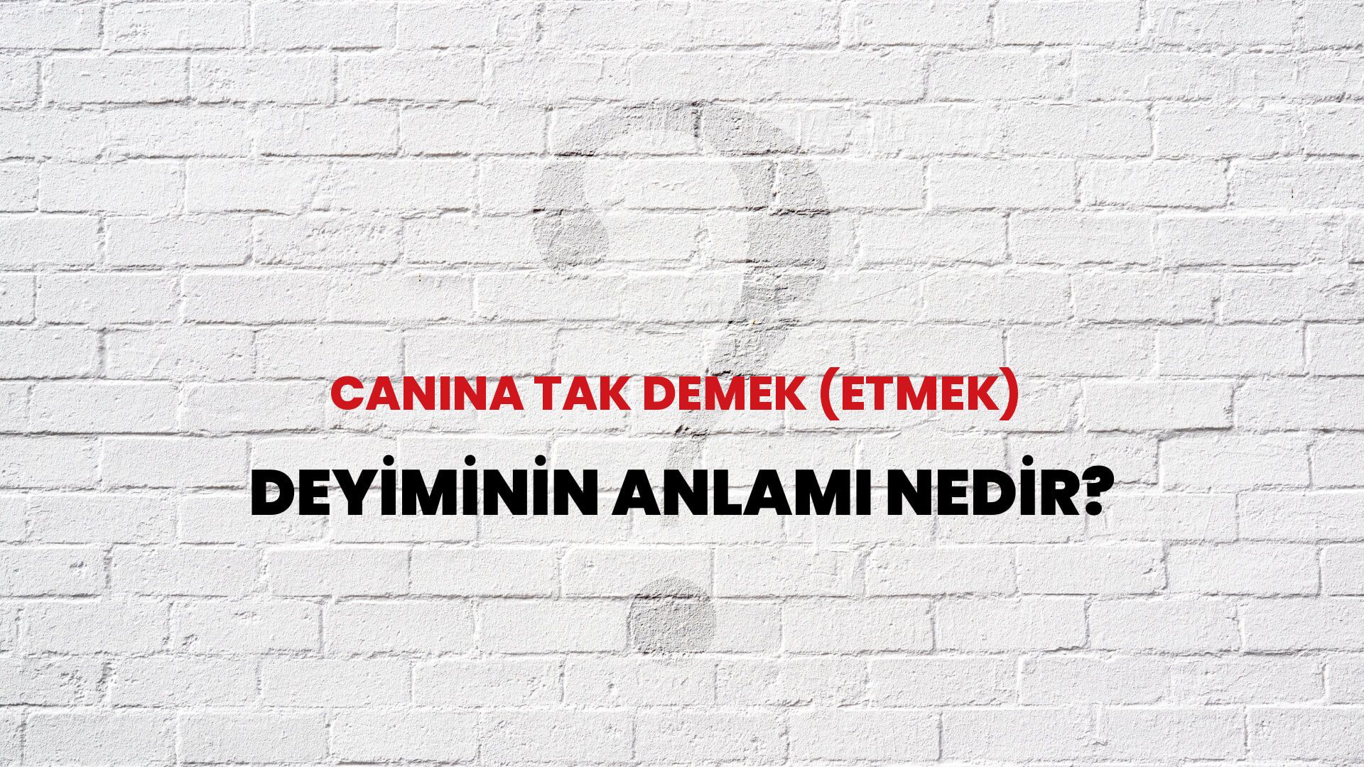 Canına Tak Demek (Etmek) Deyiminin Anlamı Nedir?