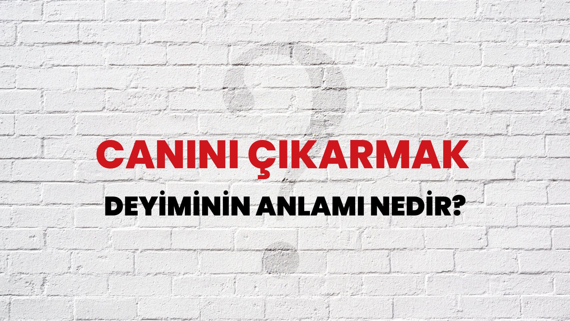 Canını Çıkarmak Deyiminin Anlamı Nedir?