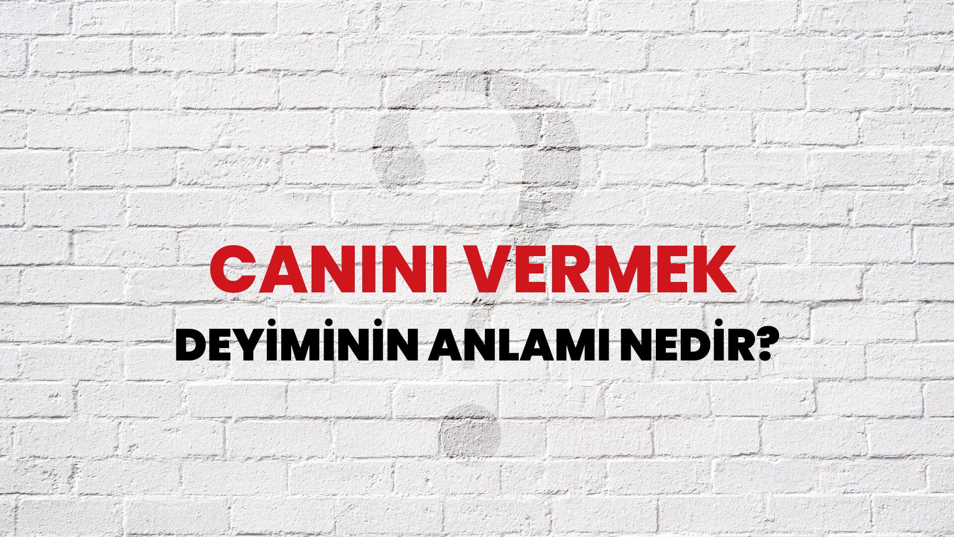 Canını Vermek Deyiminin Anlamı Nedir?