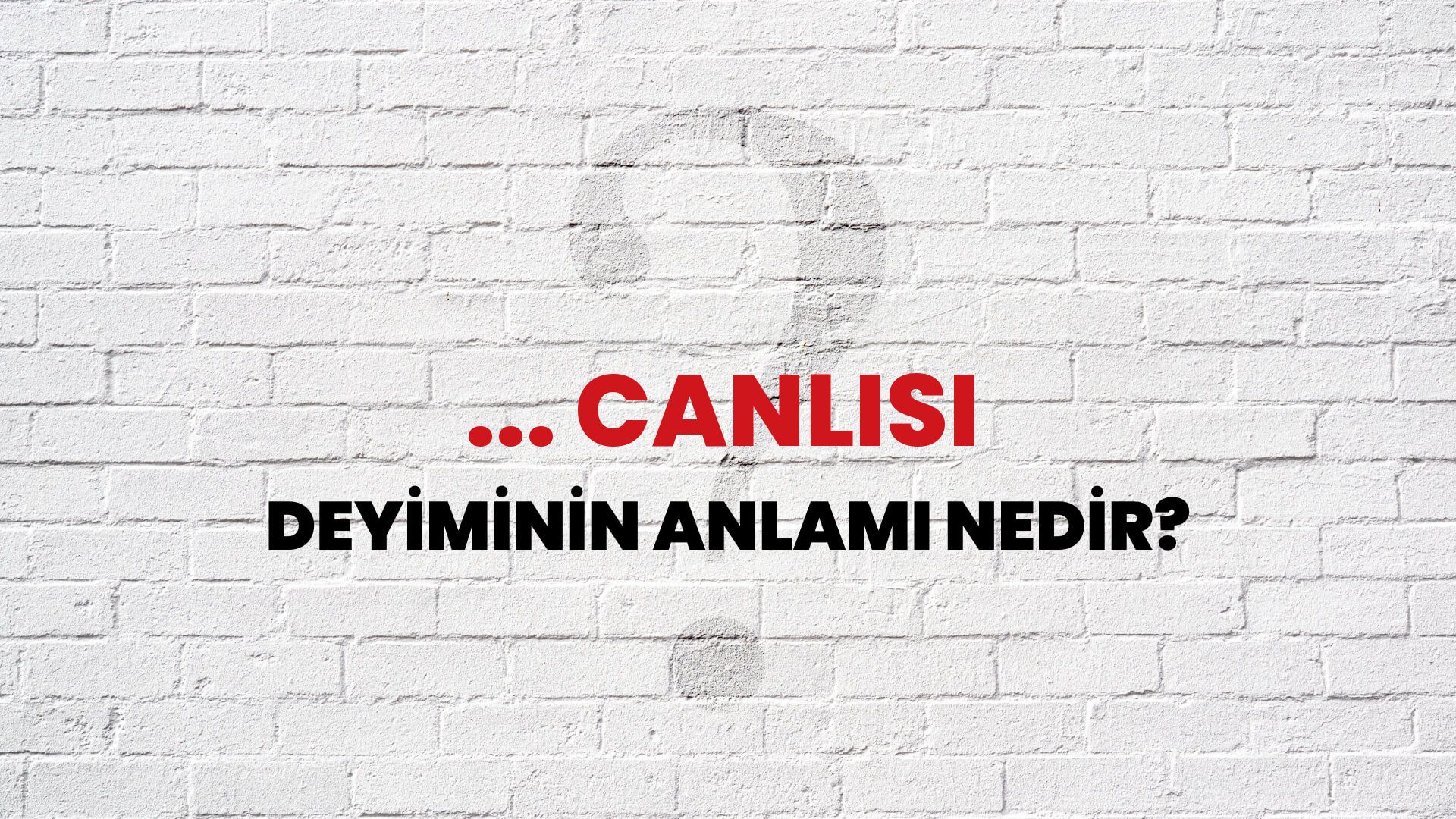 ... Canlısı Deyiminin Anlamı Nedir?