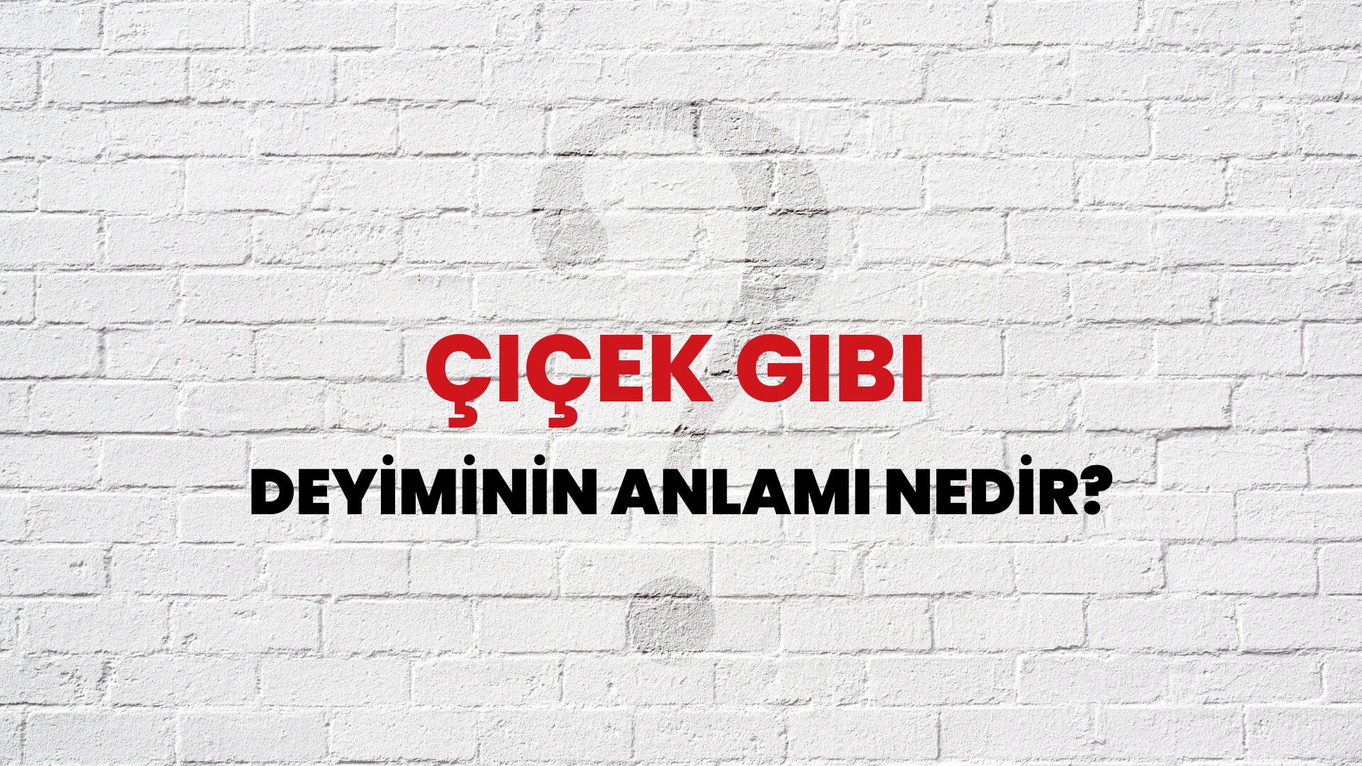 Çiçek Gibi Deyiminin Anlamı Nedir?