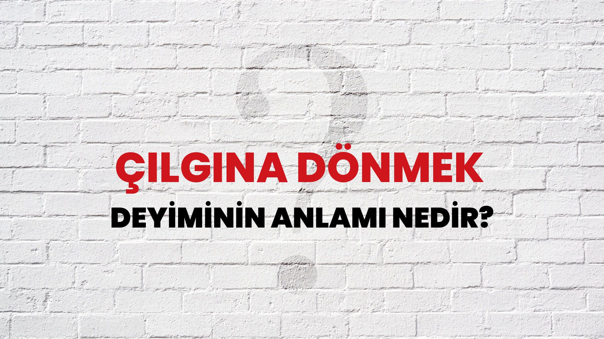 Çılgına Dönmek Deyiminin Anlamı Nedir?