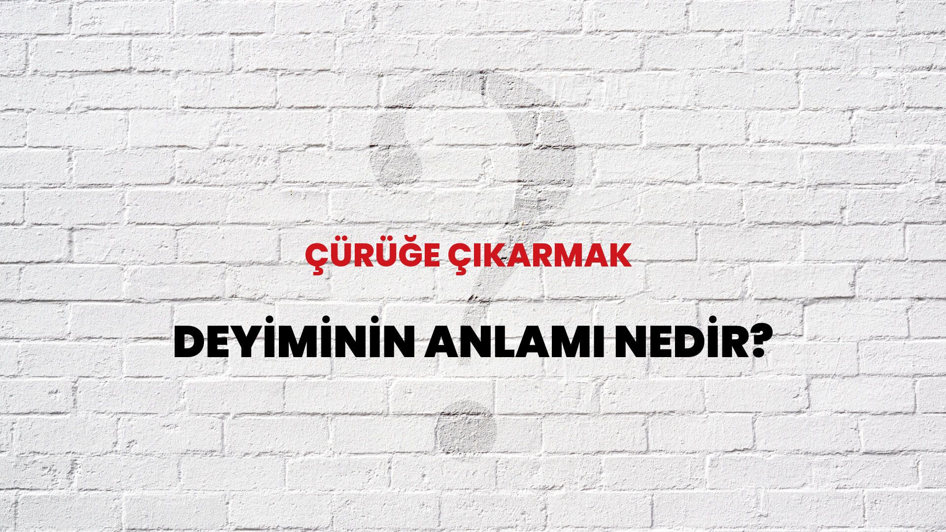 Çürüğe Çıkarmak Deyiminin Anlamı Nedir?