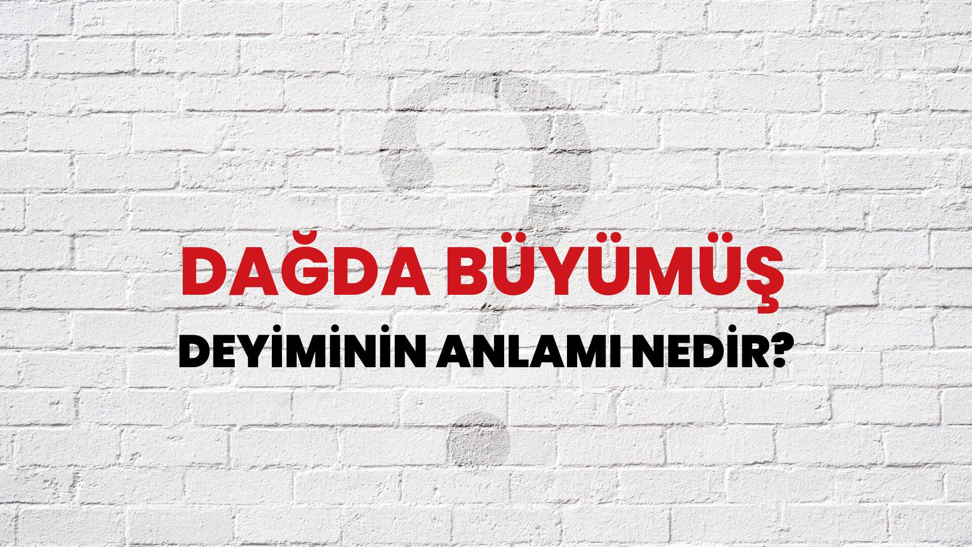 Dağda Büyümüş Deyiminin Anlamı Nedir?