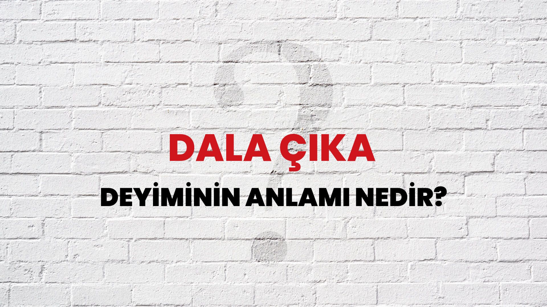Dala Çıka Deyiminin Anlamı Nedir?