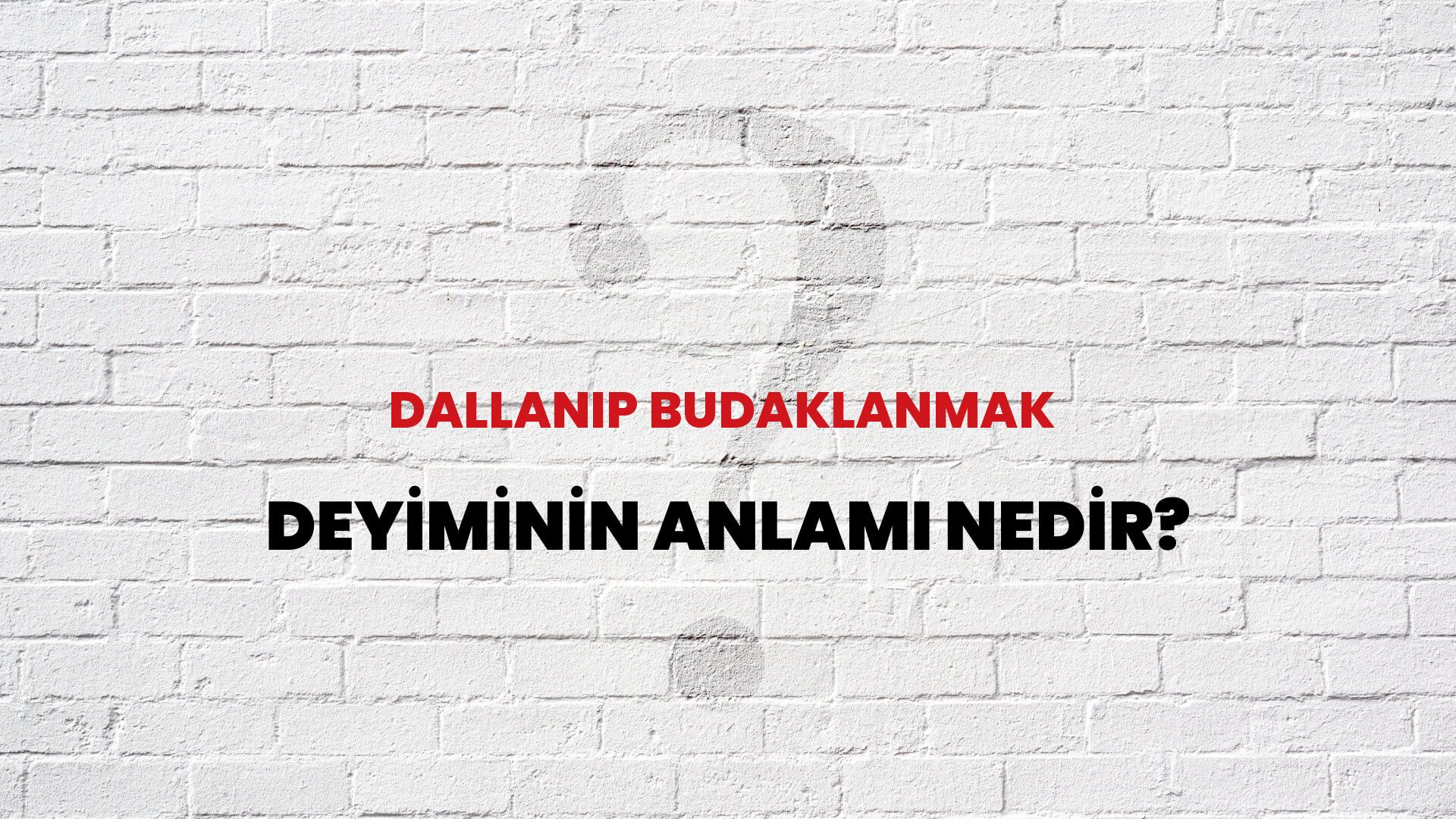 Dallanıp Budaklanmak Deyiminin Anlamı Nedir?