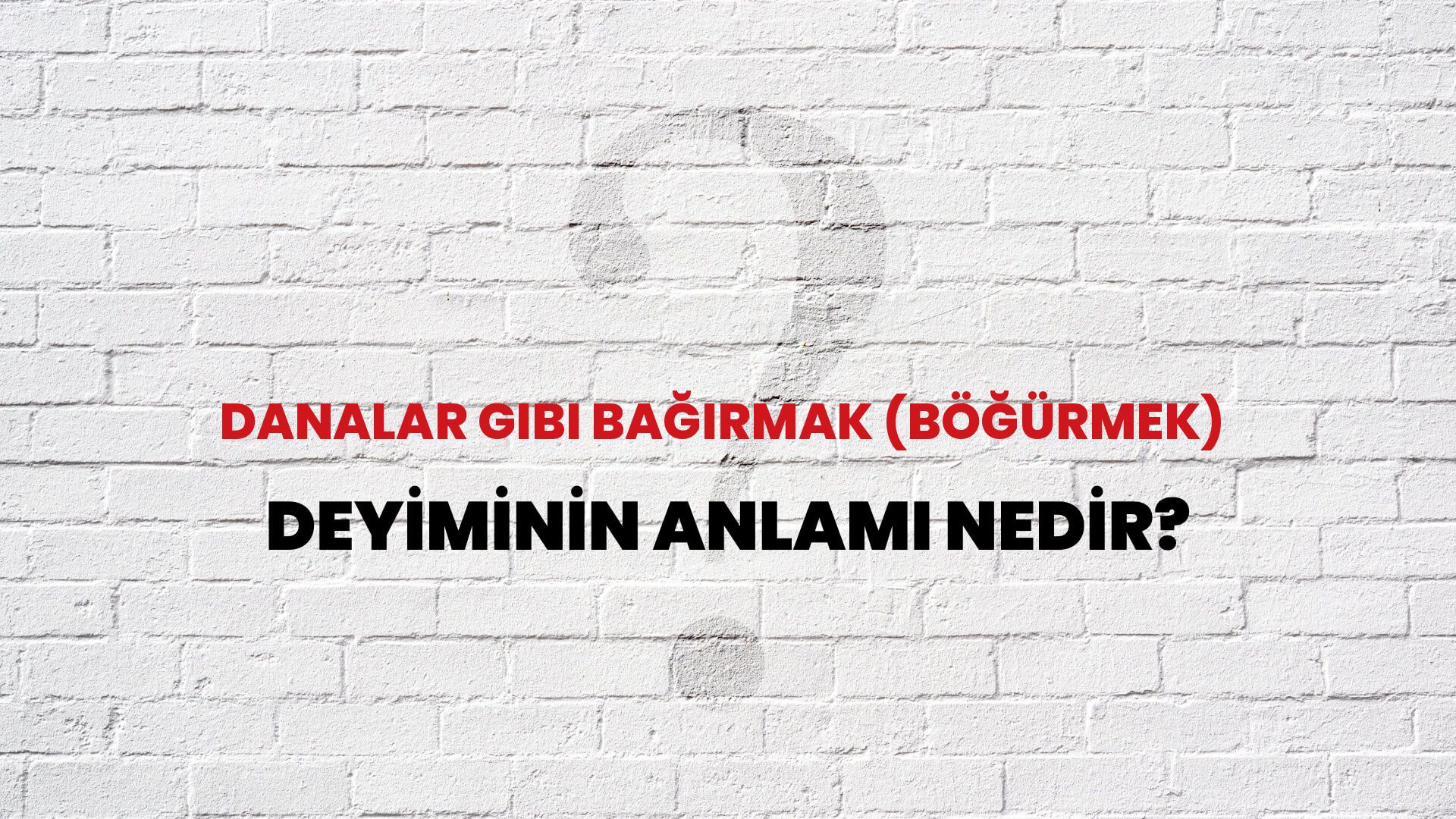 Danalar Gibi Bağırmak (Böğürmek) Deyiminin Anlamı Nedir?