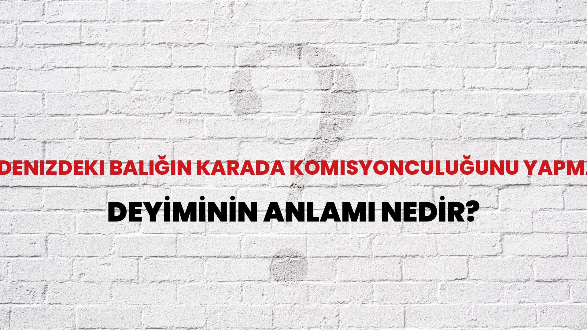 Denizdeki Balığın Karada Komisyonculuğunu Yapmak Deyiminin Anlamı Nedir?