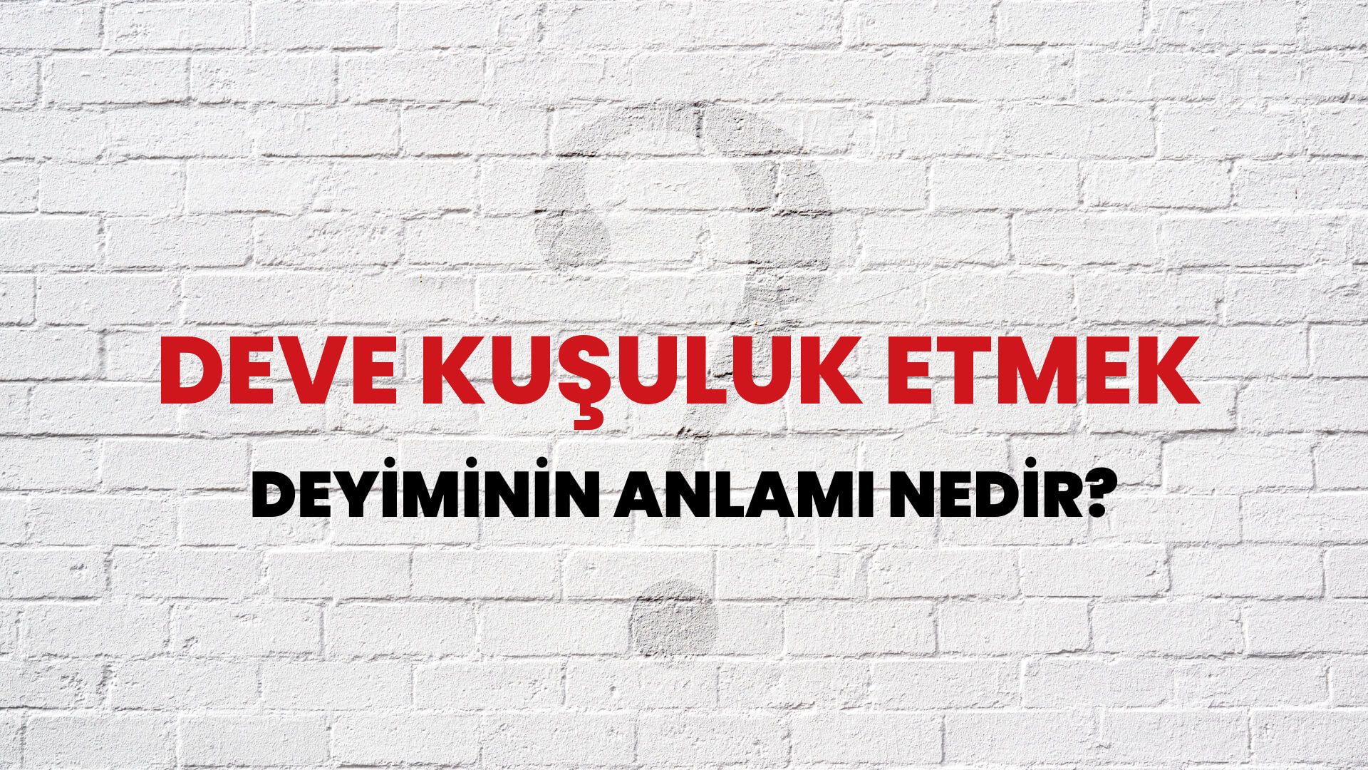 Deve Kuşuluk Etmek Deyiminin Anlamı Nedir?
