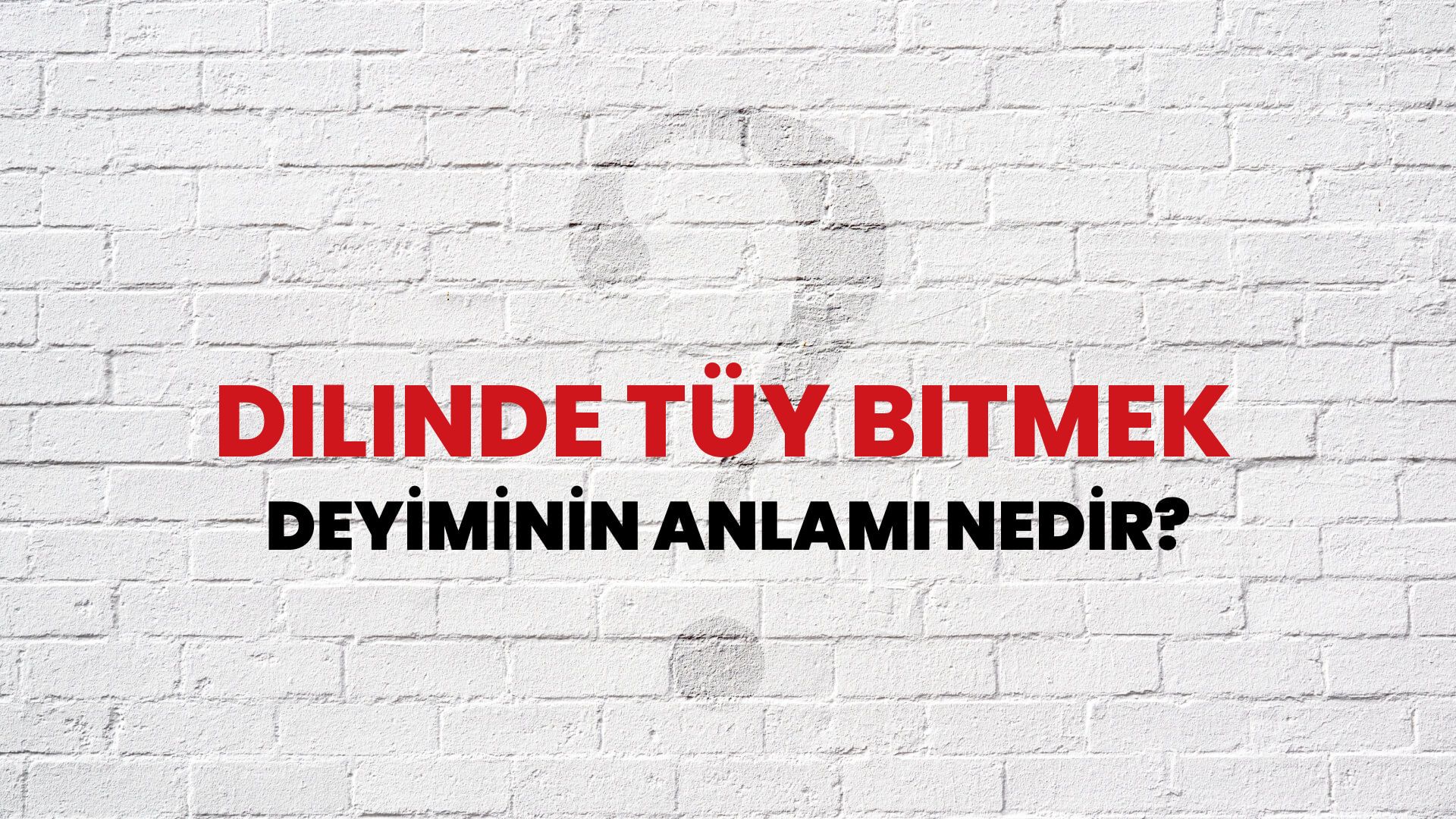 Dilinde Tüy Bitmek Deyiminin Anlamı Nedir?