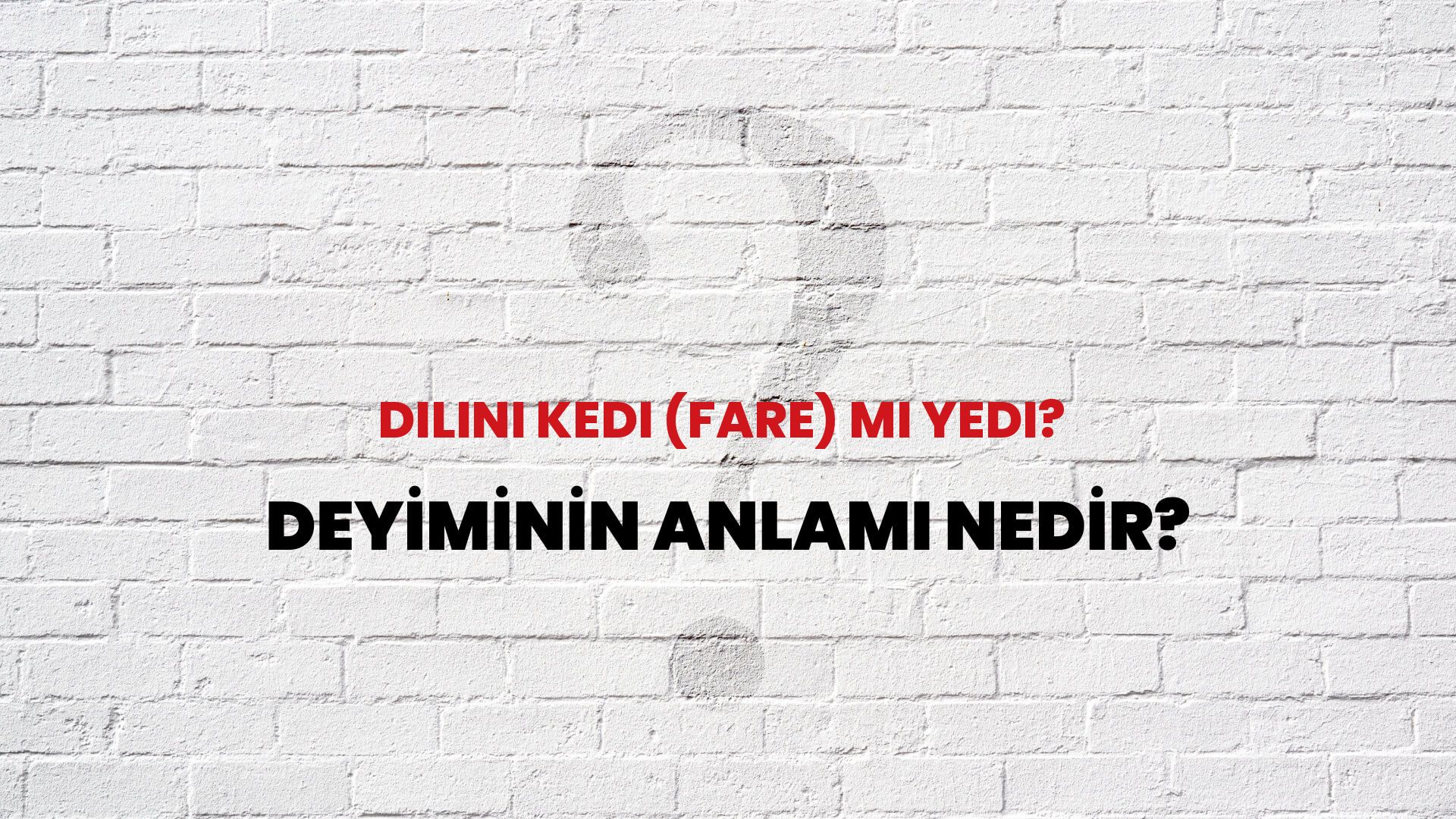 Dilini Kedi (Fare) Mi Yedi? Deyiminin Anlamı Nedir?