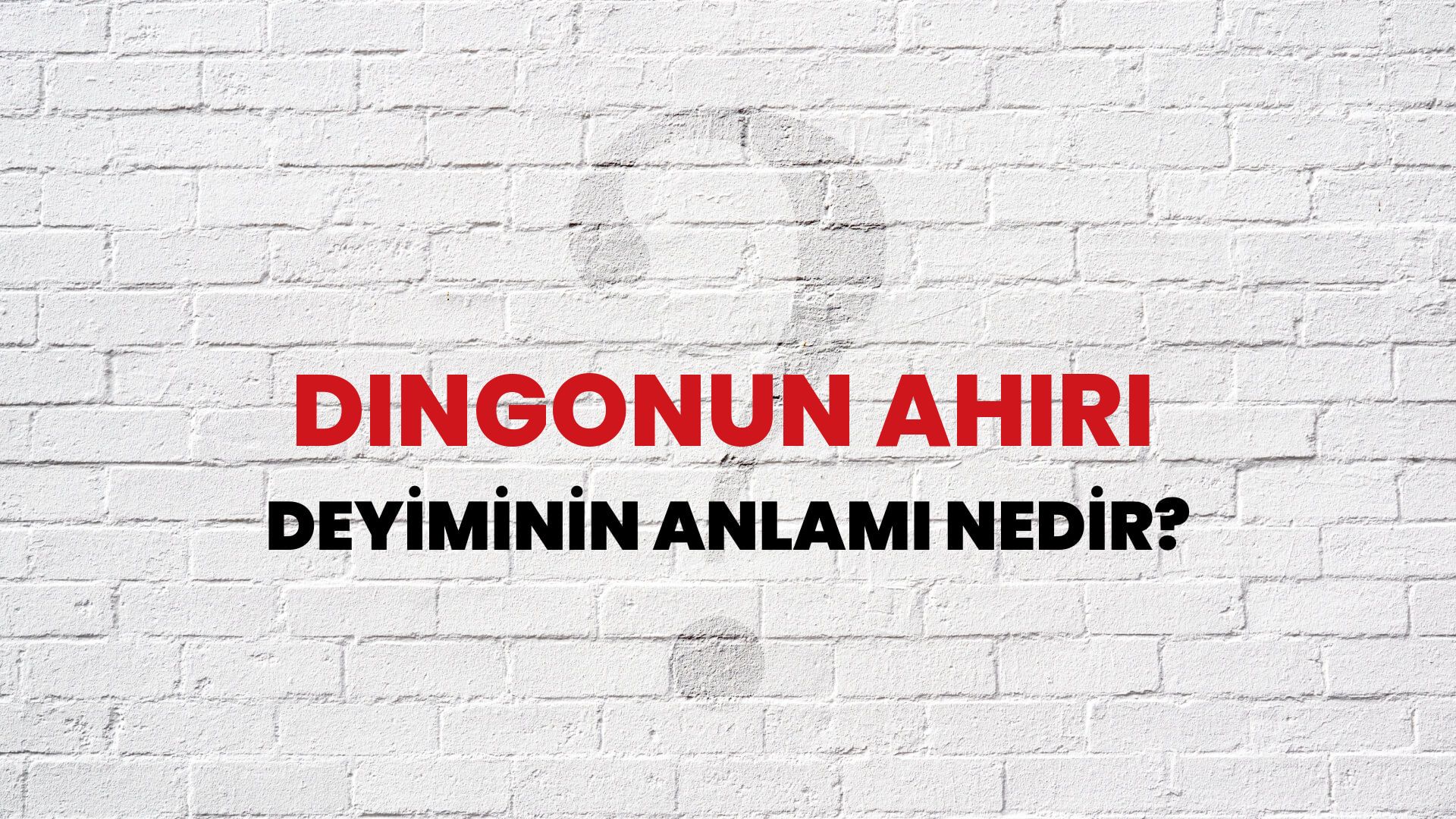 Dingonun Ahırı Deyiminin Anlamı Nedir?