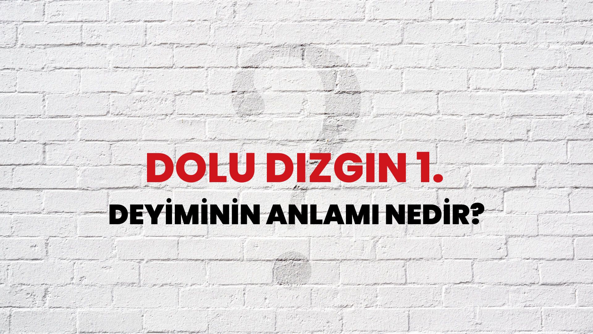 Dolu Dizgin 1. Deyiminin Anlamı Nedir?