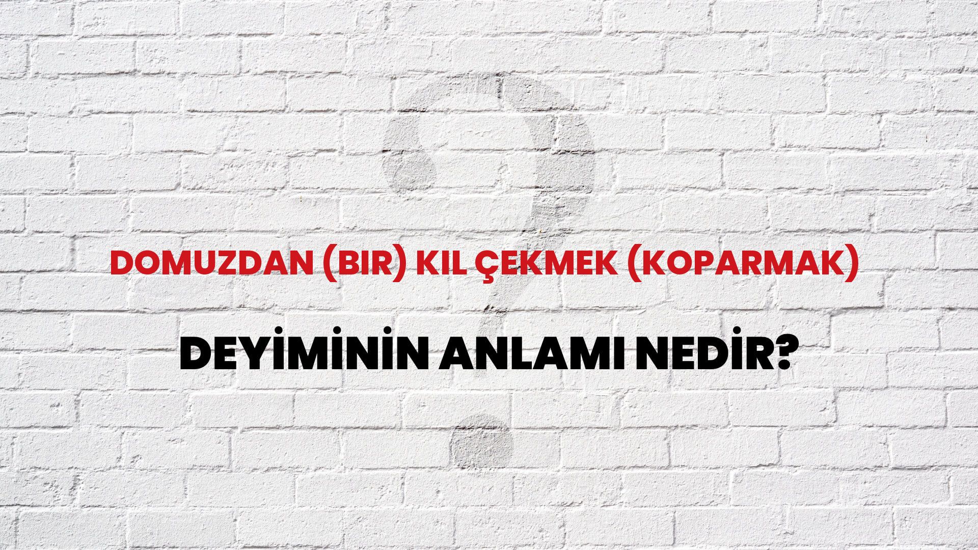 Domuzdan (Bir) Kıl Çekmek (Koparmak) Deyiminin Anlamı Nedir?