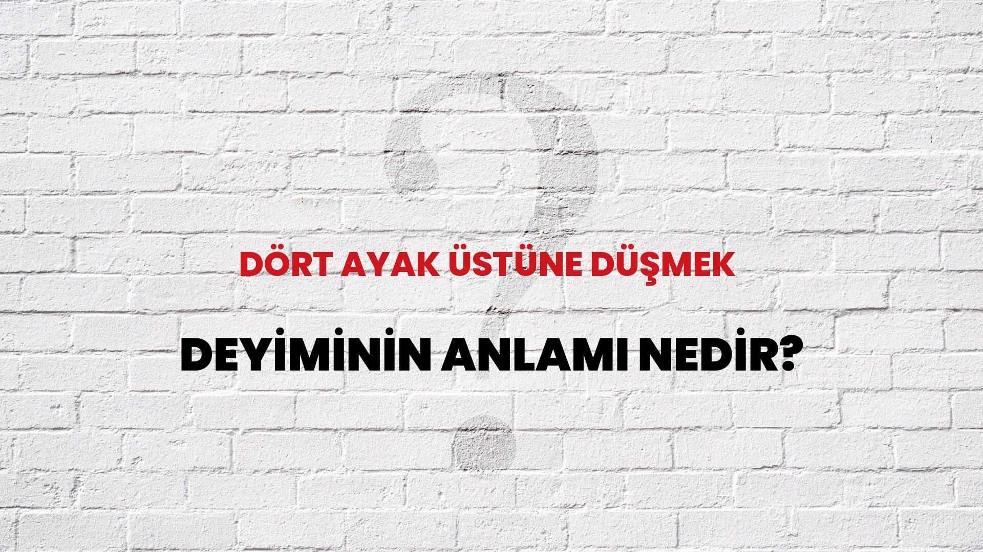 Dört Ayak Üstüne Düşmek Deyiminin Anlamı Nedir?
