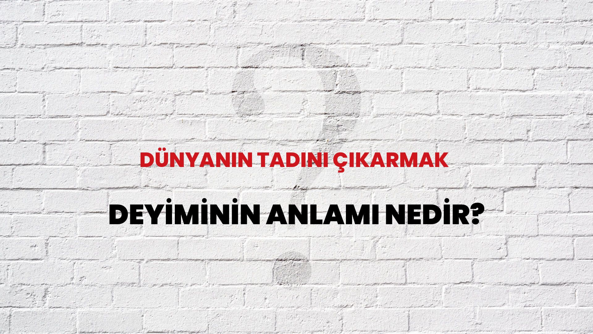 Dünyanın Tadını Çıkarmak Deyiminin Anlamı Nedir?