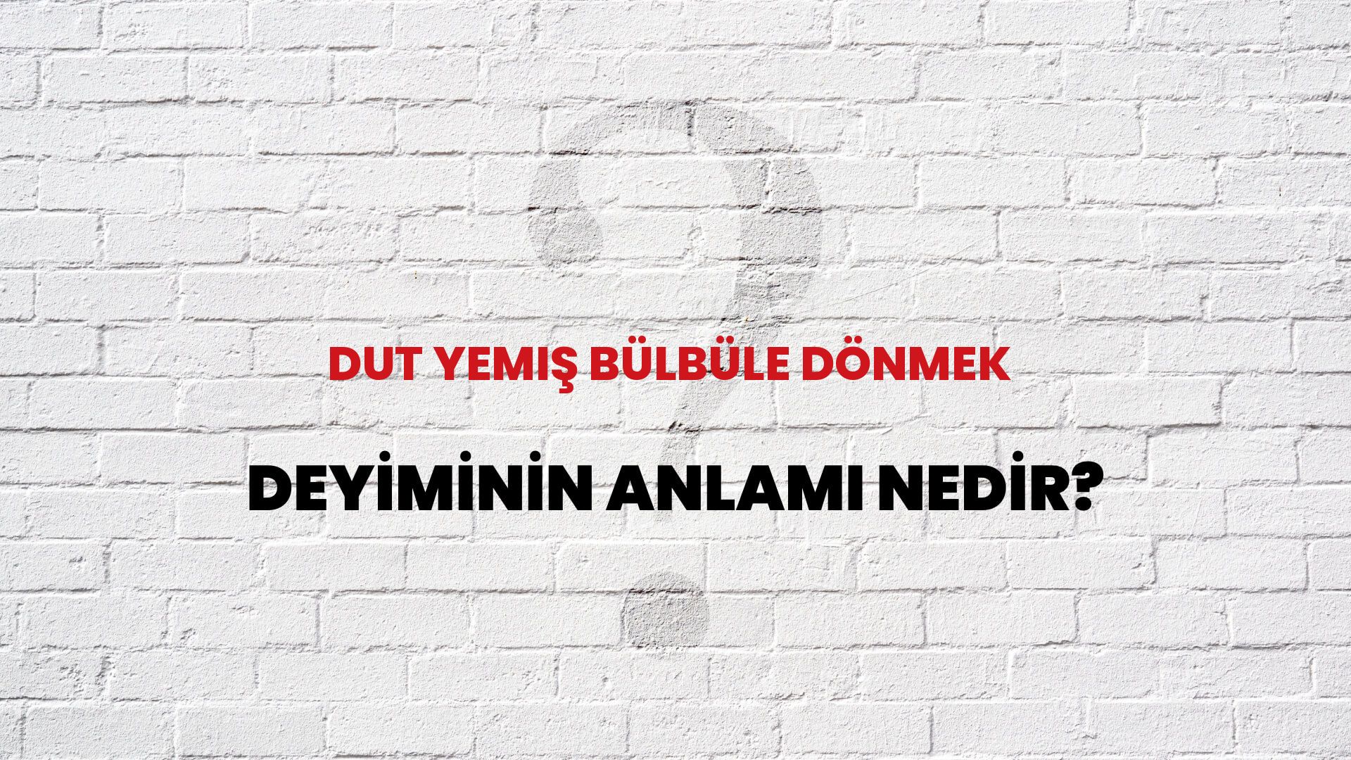 Dut Yemiş Bülbüle Dönmek Deyiminin Anlamı Nedir?