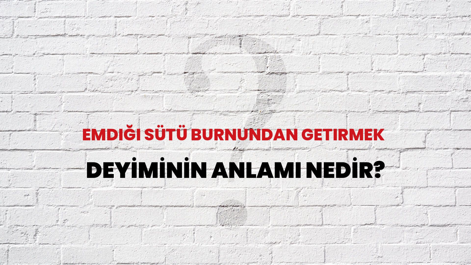 Emdiği Sütü Burnundan Getirmek Deyiminin Anlamı Nedir?