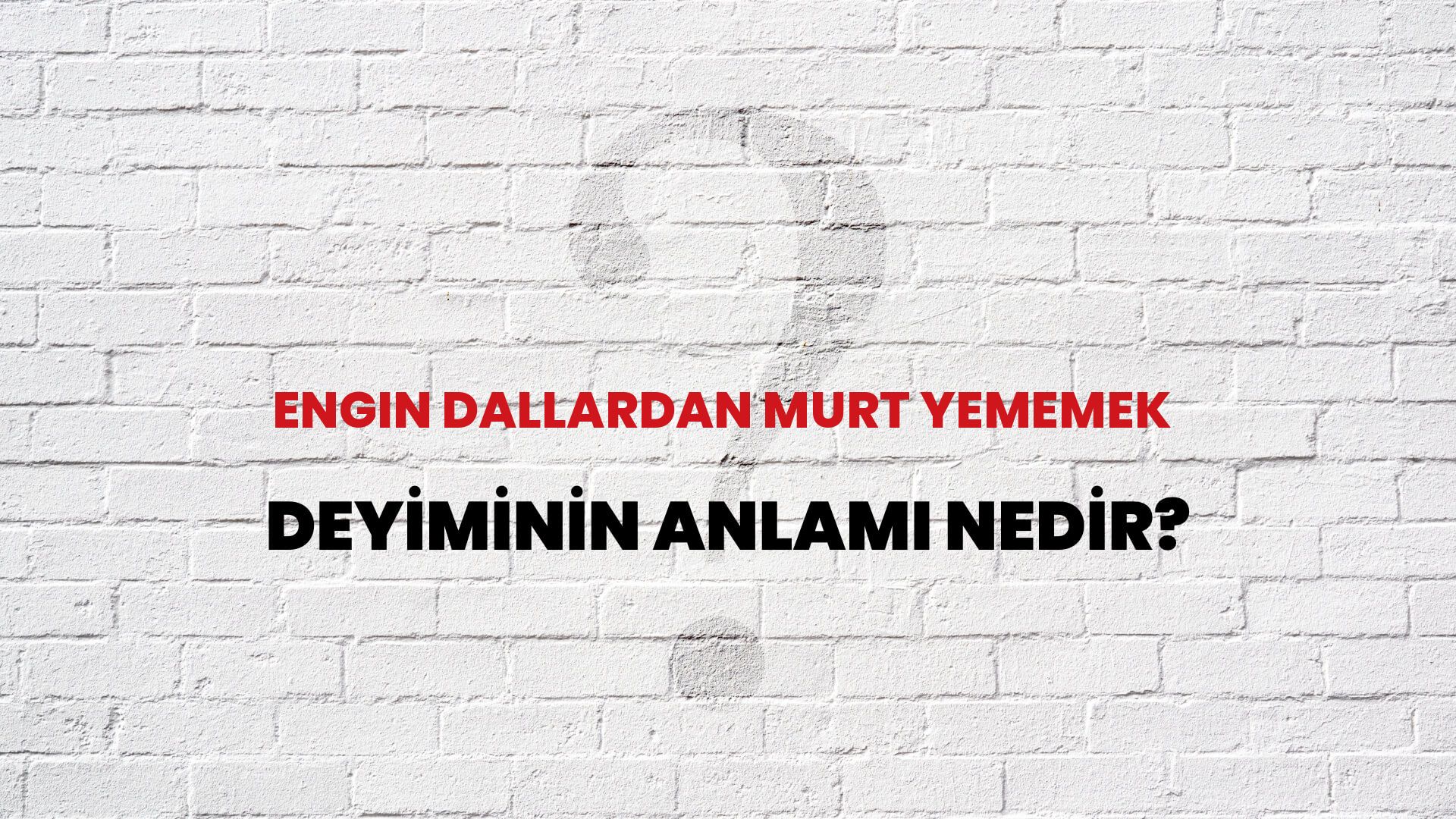 Engin Dallardan Murt Yememek Deyiminin Anlamı Nedir?