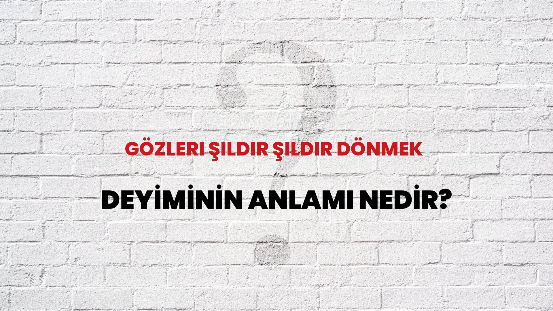 Gözleri Şıldır Şıldır Dönmek Deyiminin Anlamı Nedir?