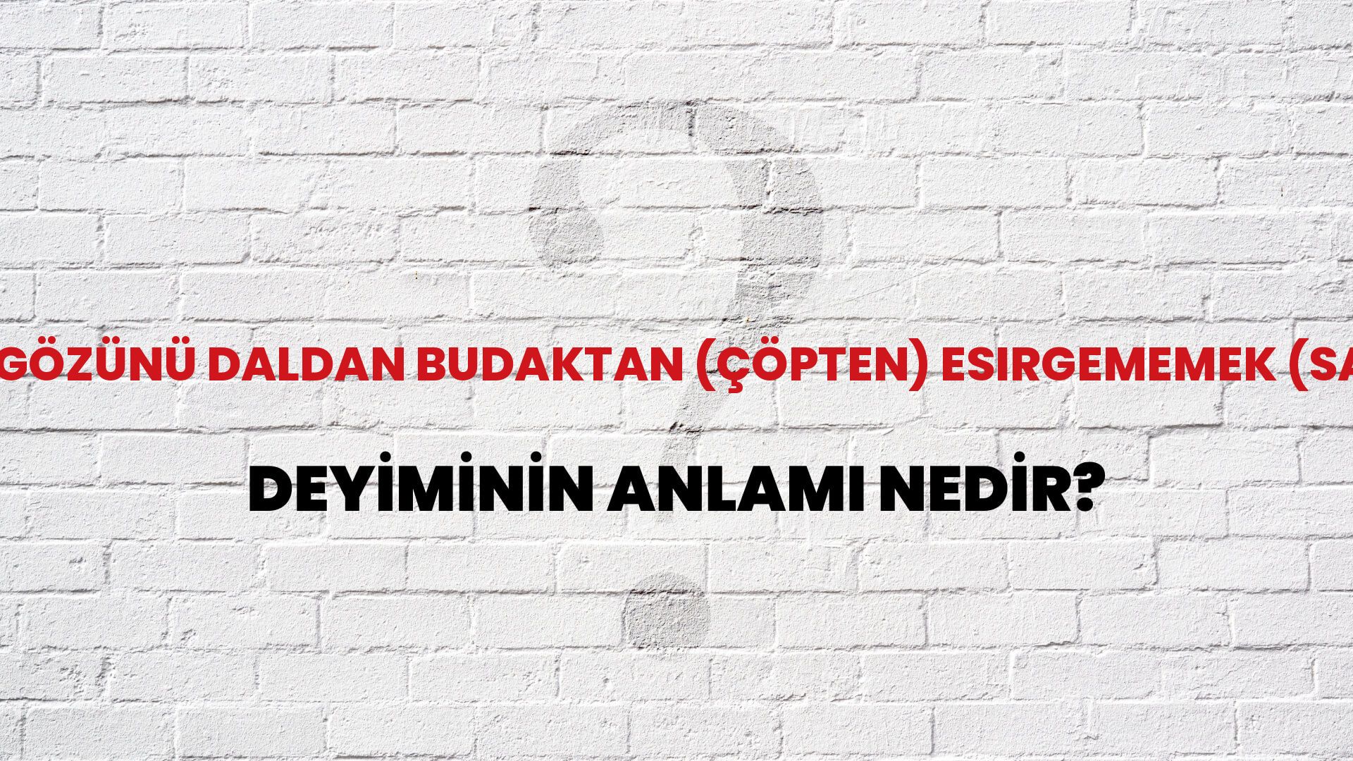 Gözünü Daldan Budaktan (Çöpten) Esirgememek (Sakınmamak) Deyiminin Anlamı Nedir?