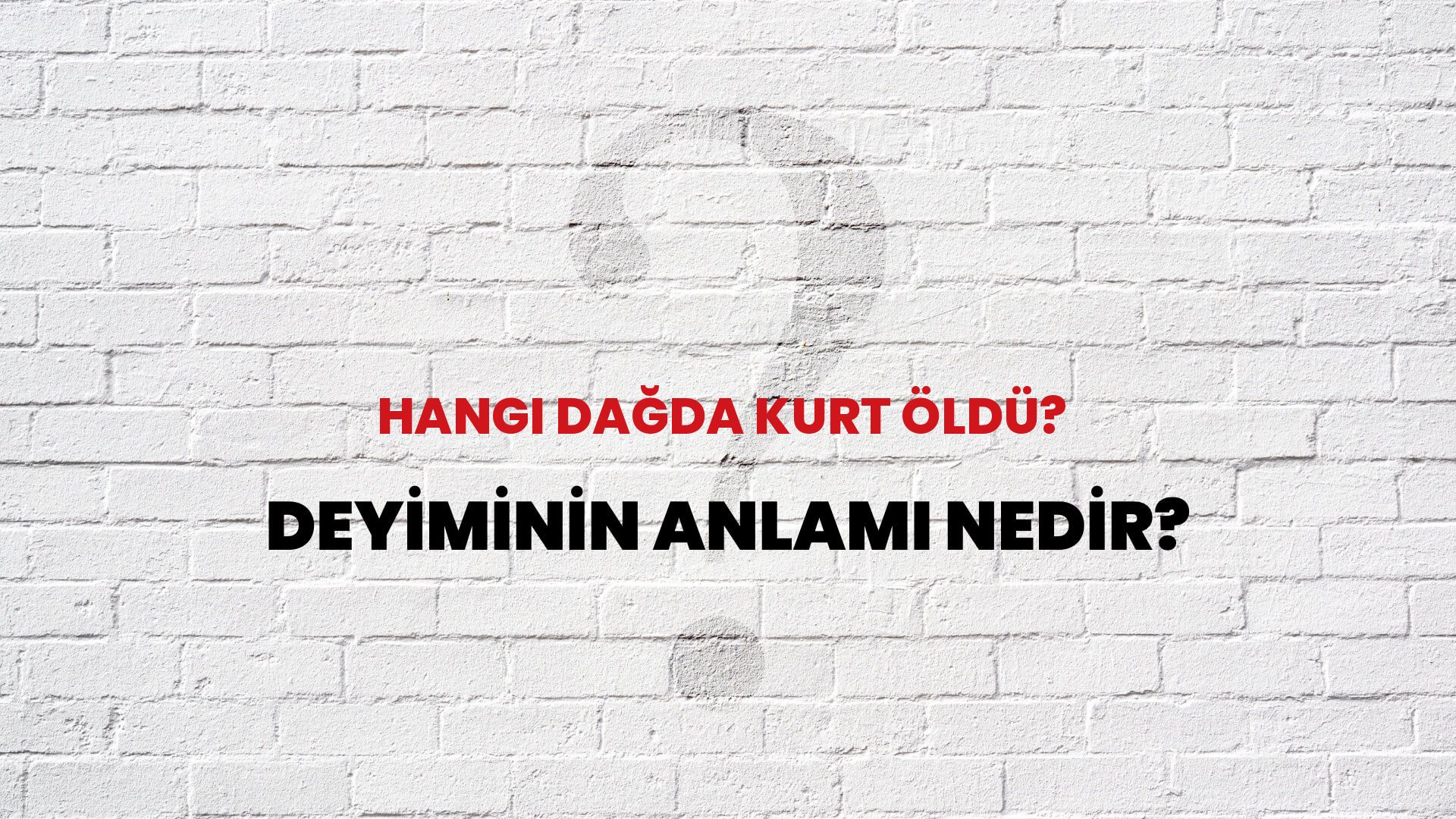 Hangi Dağda Kurt Öldü? Deyiminin Anlamı Nedir?