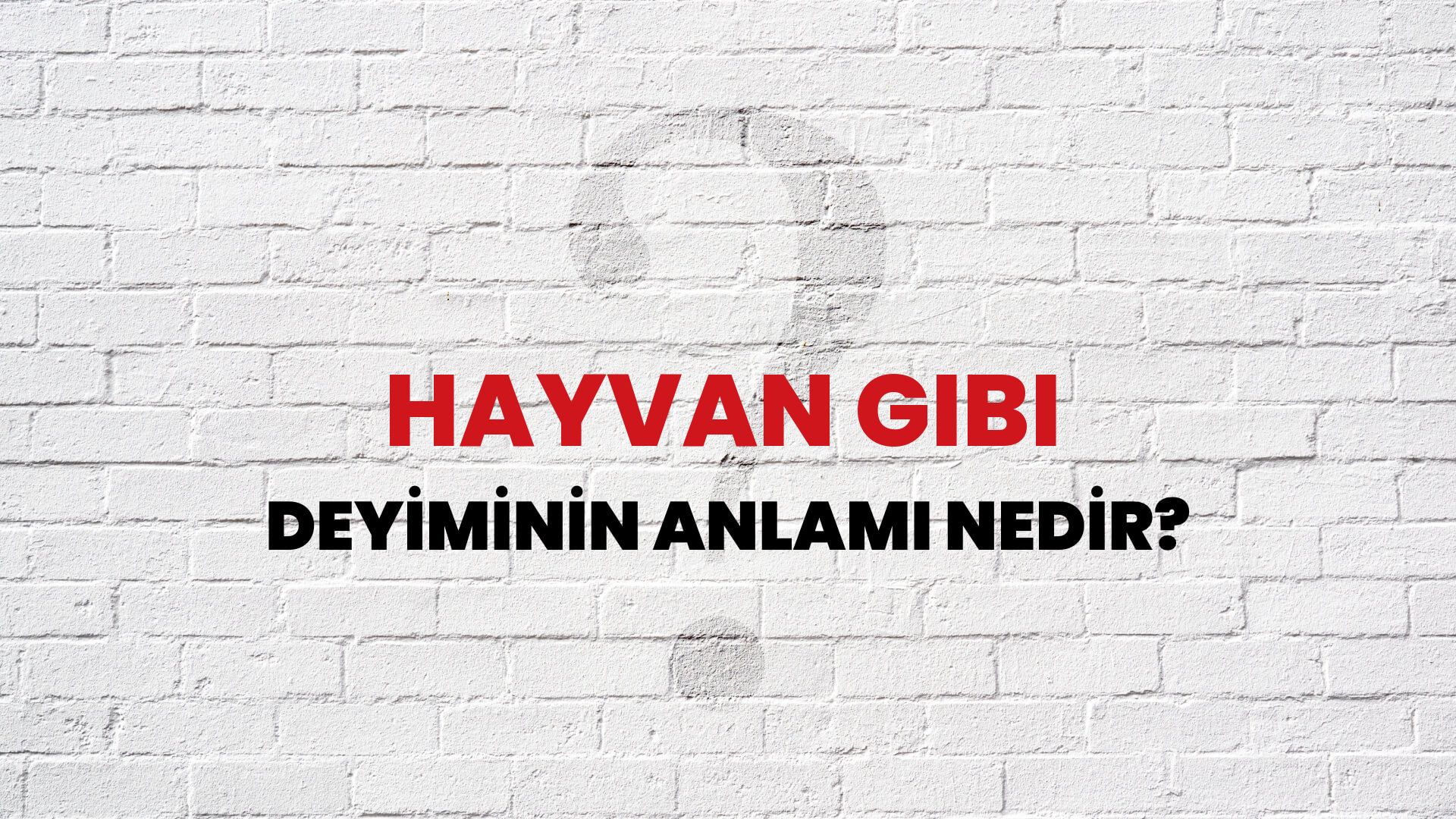 Hayvan Gibi Deyiminin Anlamı Nedir?