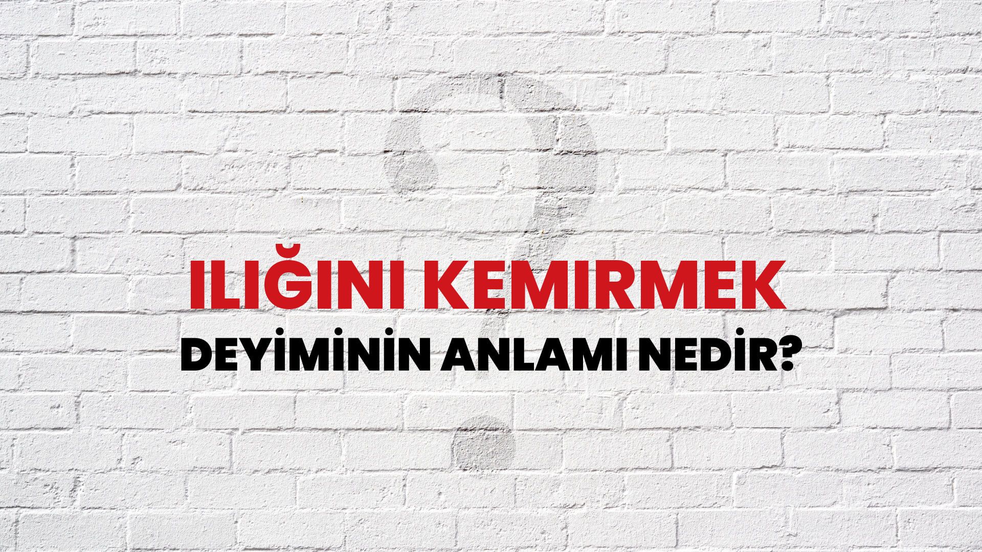 İliğini Kemirmek Deyiminin Anlamı Nedir?