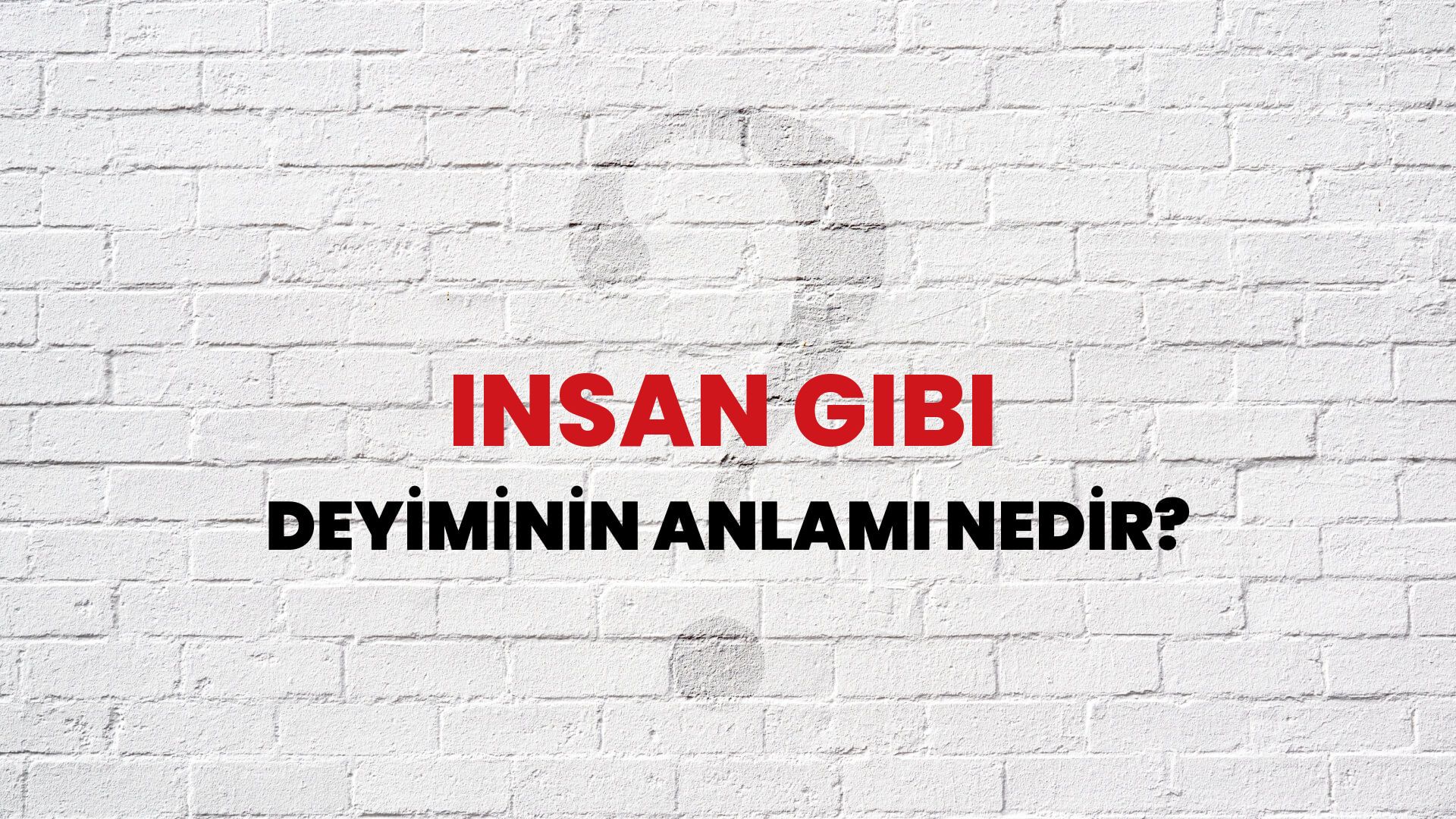 İnsan Gibi Deyiminin Anlamı Nedir?
