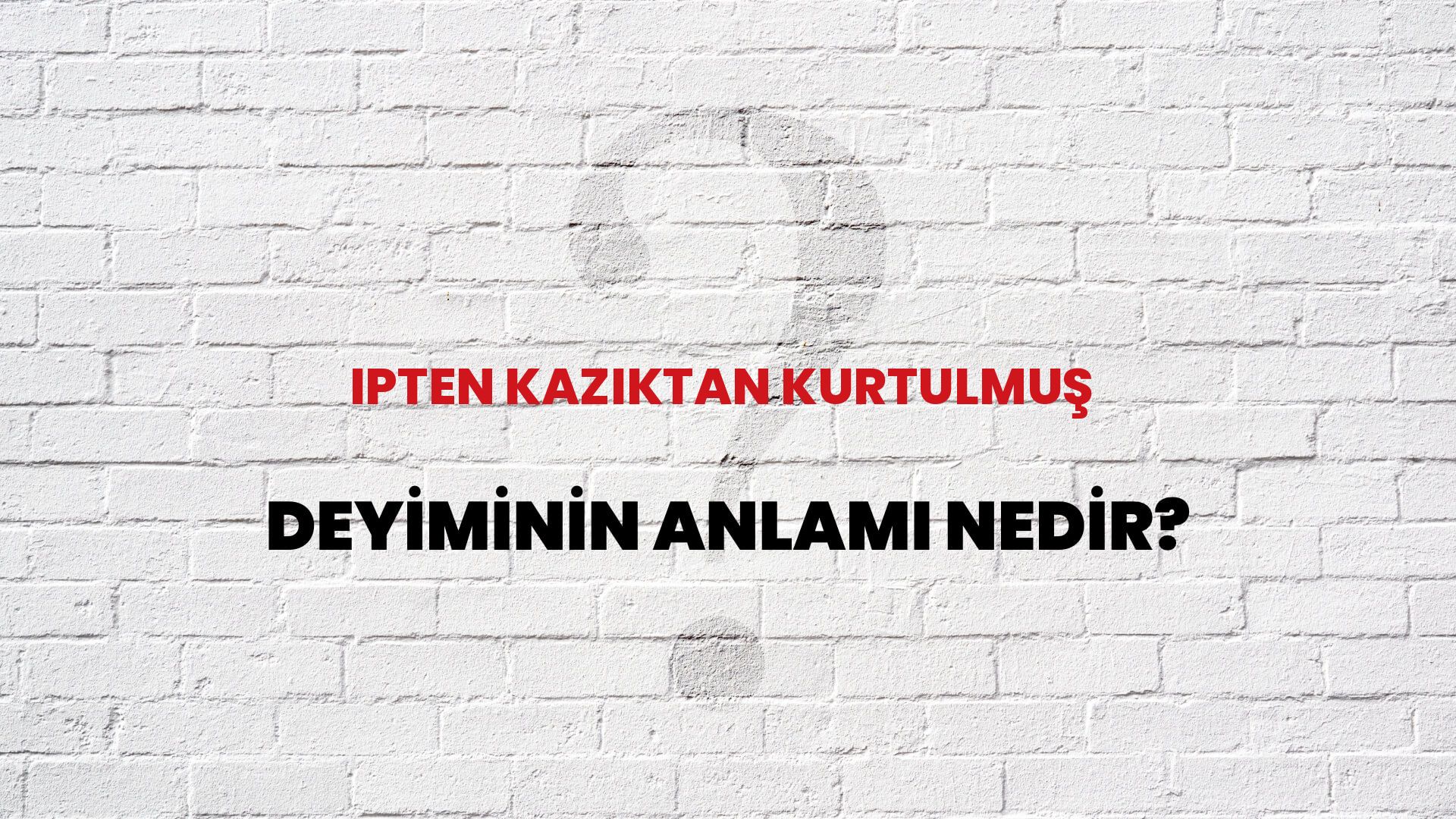 İpten Kazıktan Kurtulmuş Deyiminin Anlamı Nedir?