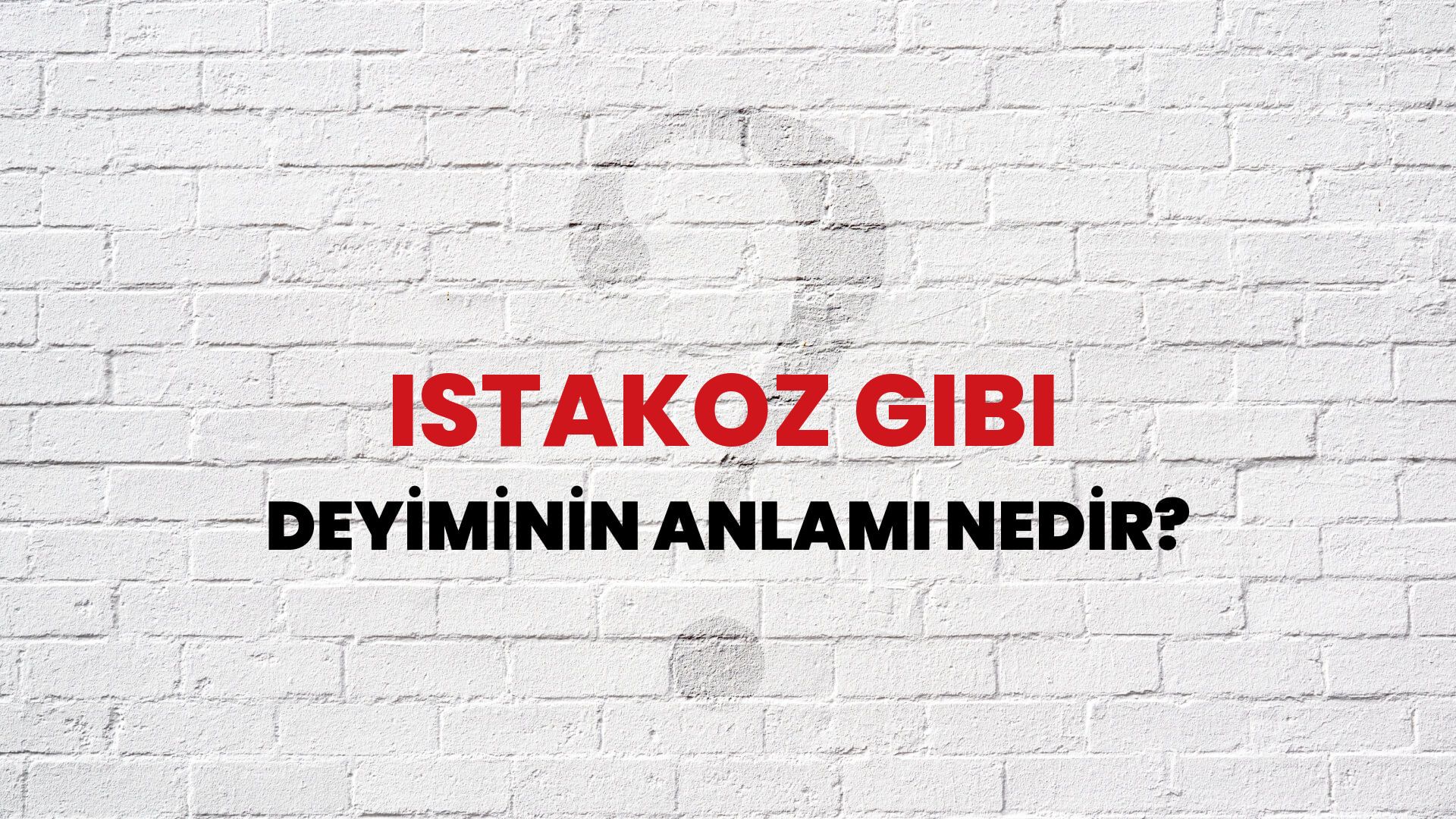 Istakoz Gibi Deyiminin Anlamı Nedir?