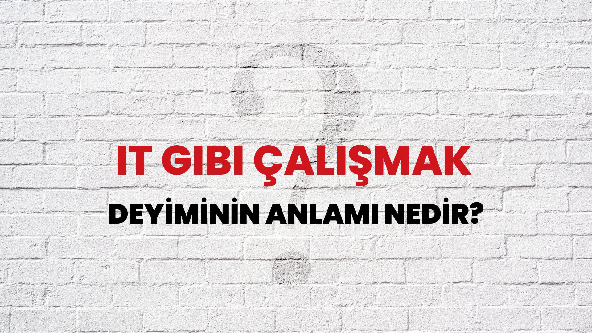 İt Gibi Çalışmak Deyiminin Anlamı Nedir?