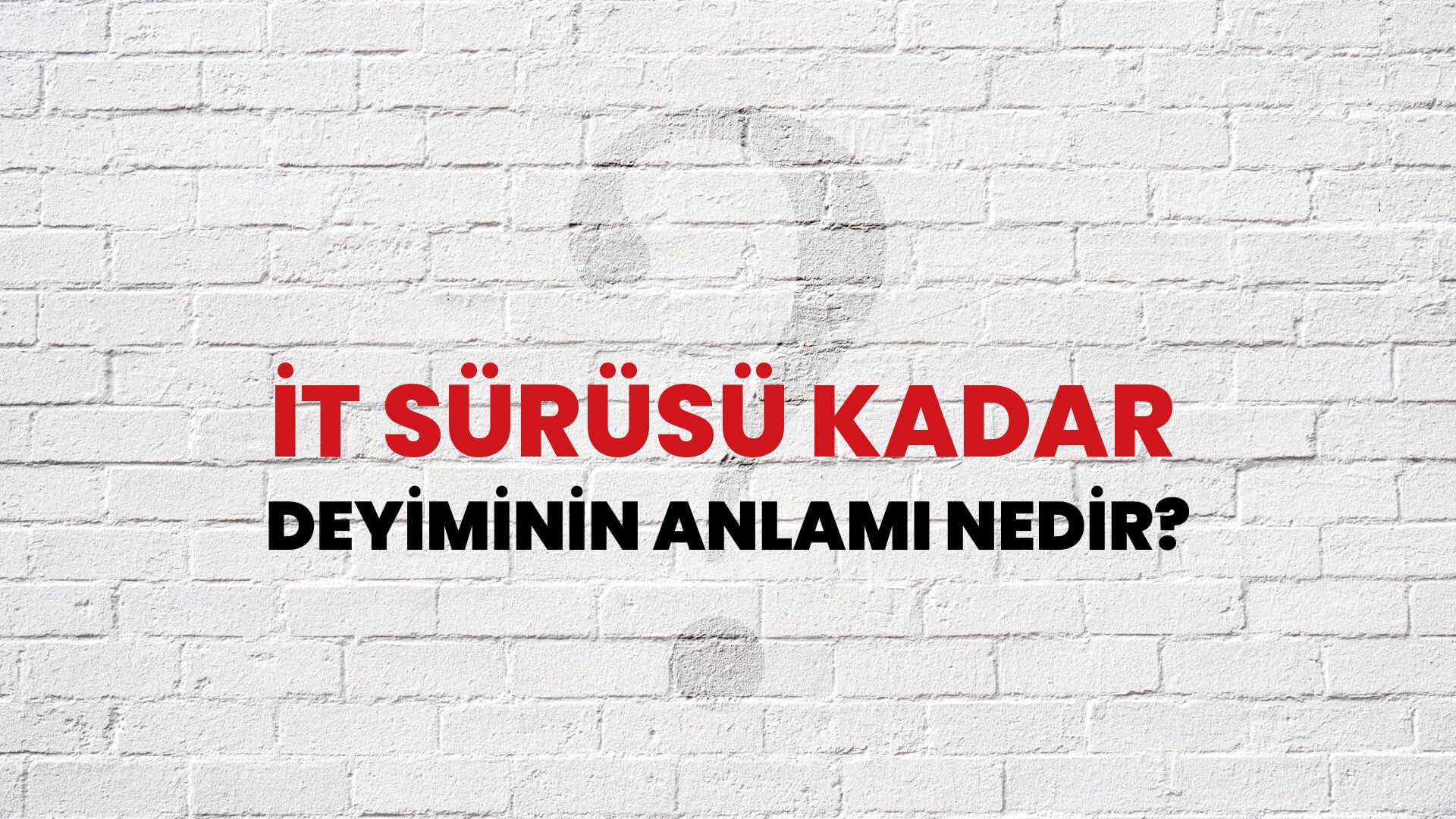 İt Sürüsü Kadar Deyiminin Anlamı Nedir?