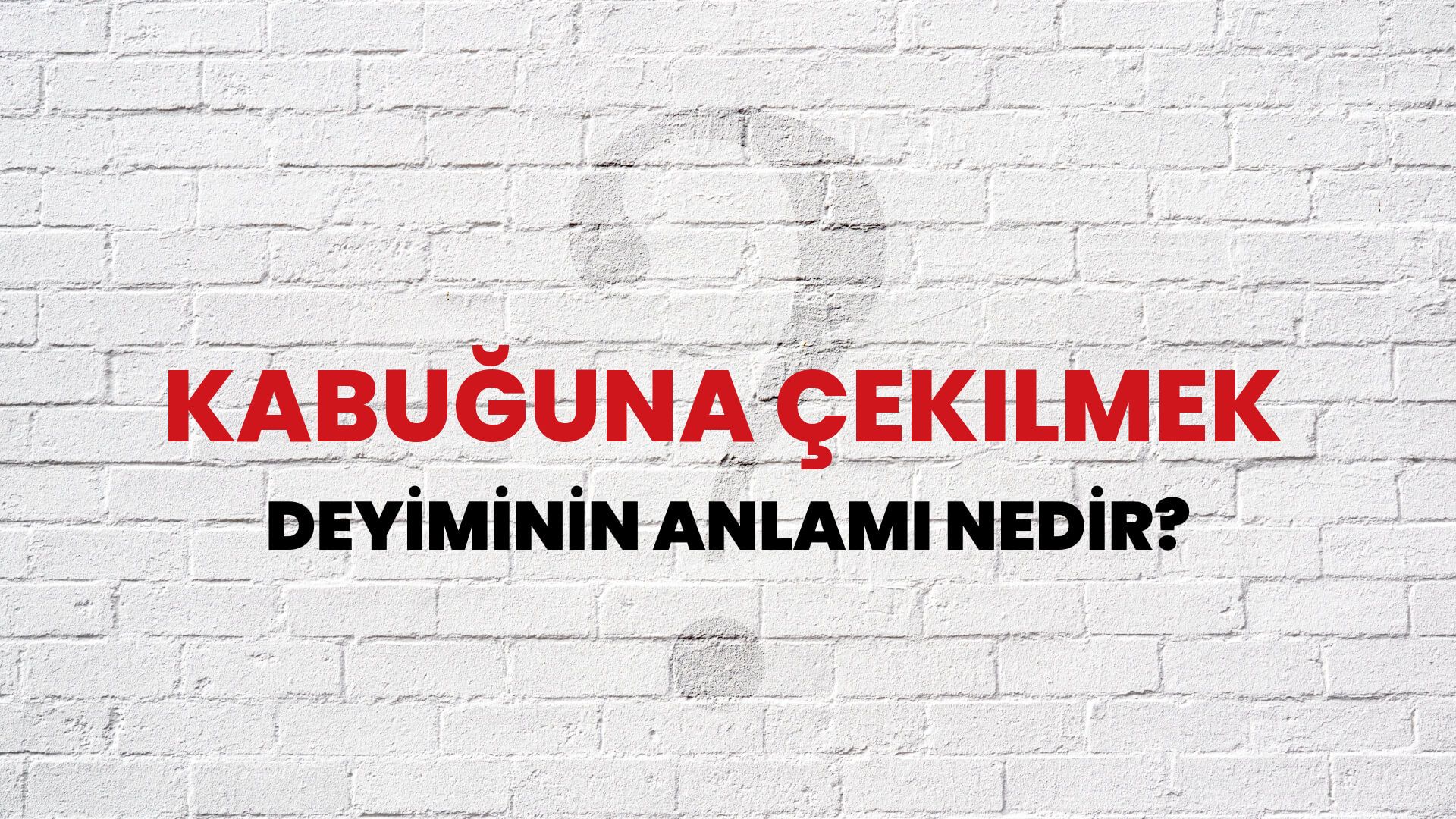Kabuğuna Çekilmek Deyiminin Anlamı Nedir?