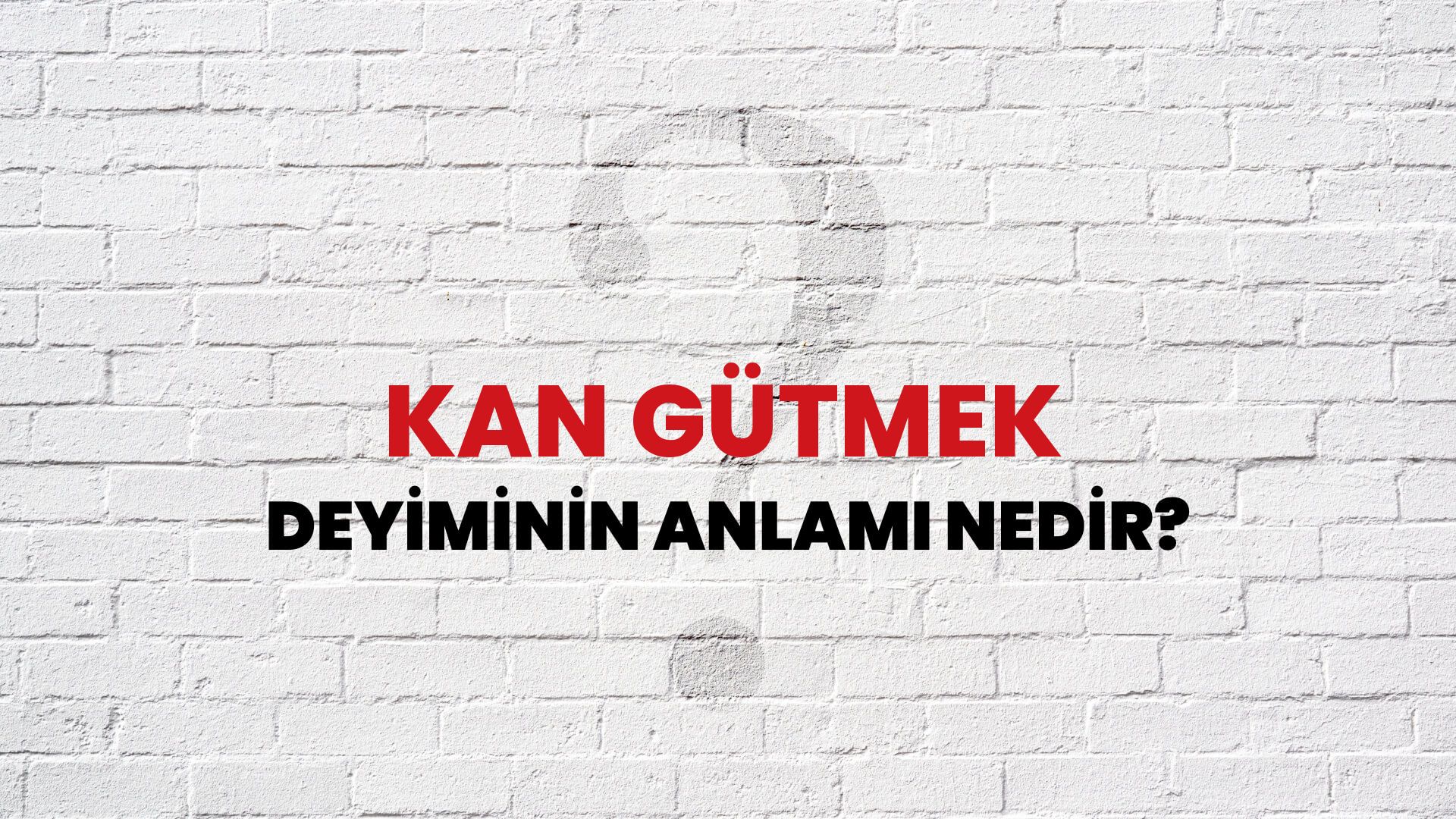 Kan Gütmek Deyiminin Anlamı Nedir?