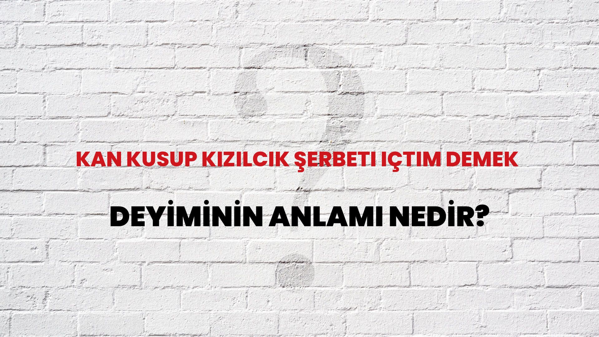 Kan Kusup Kızılcık Şerbeti Içtim Demek Deyiminin Anlamı Nedir?