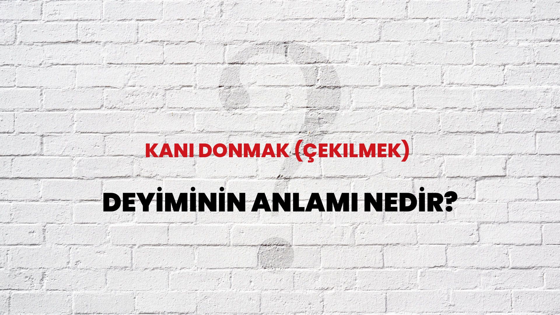 Kanı Donmak (Çekilmek) Deyiminin Anlamı Nedir?