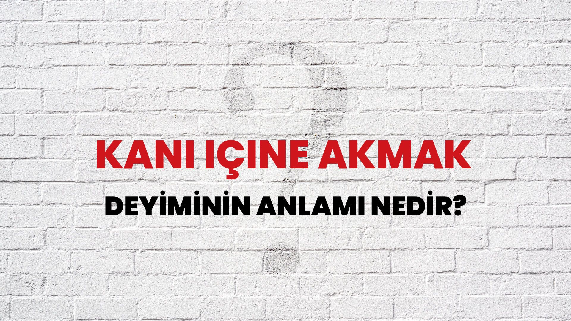 Kanı Içine Akmak Deyiminin Anlamı Nedir?