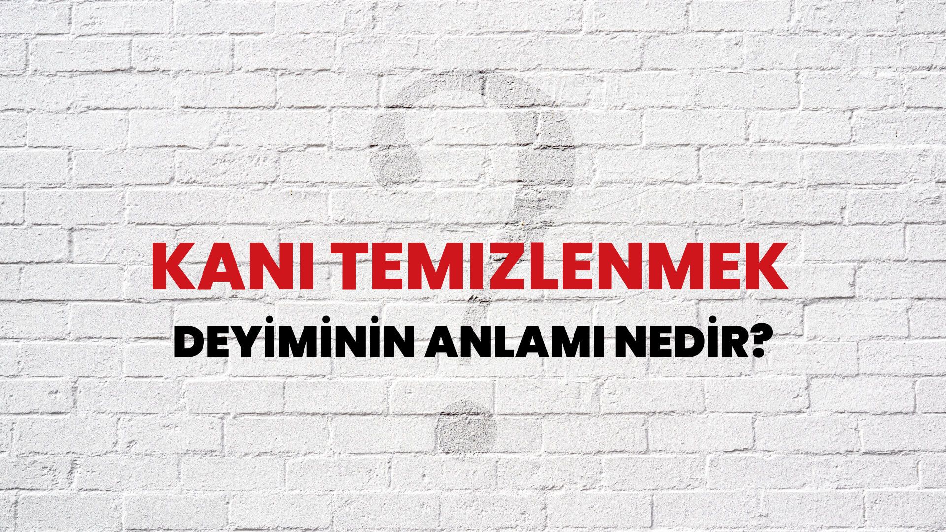 Kanı Temizlenmek Deyiminin Anlamı Nedir?