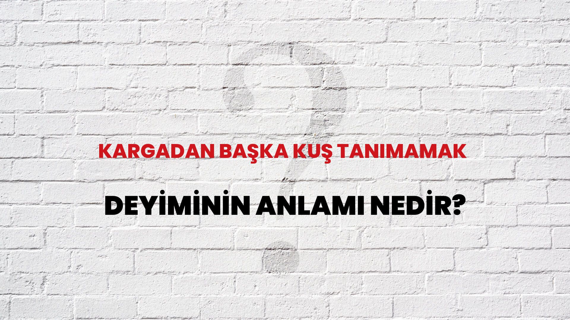 Kargadan Başka Kuş Tanımamak Deyiminin Anlamı Nedir?