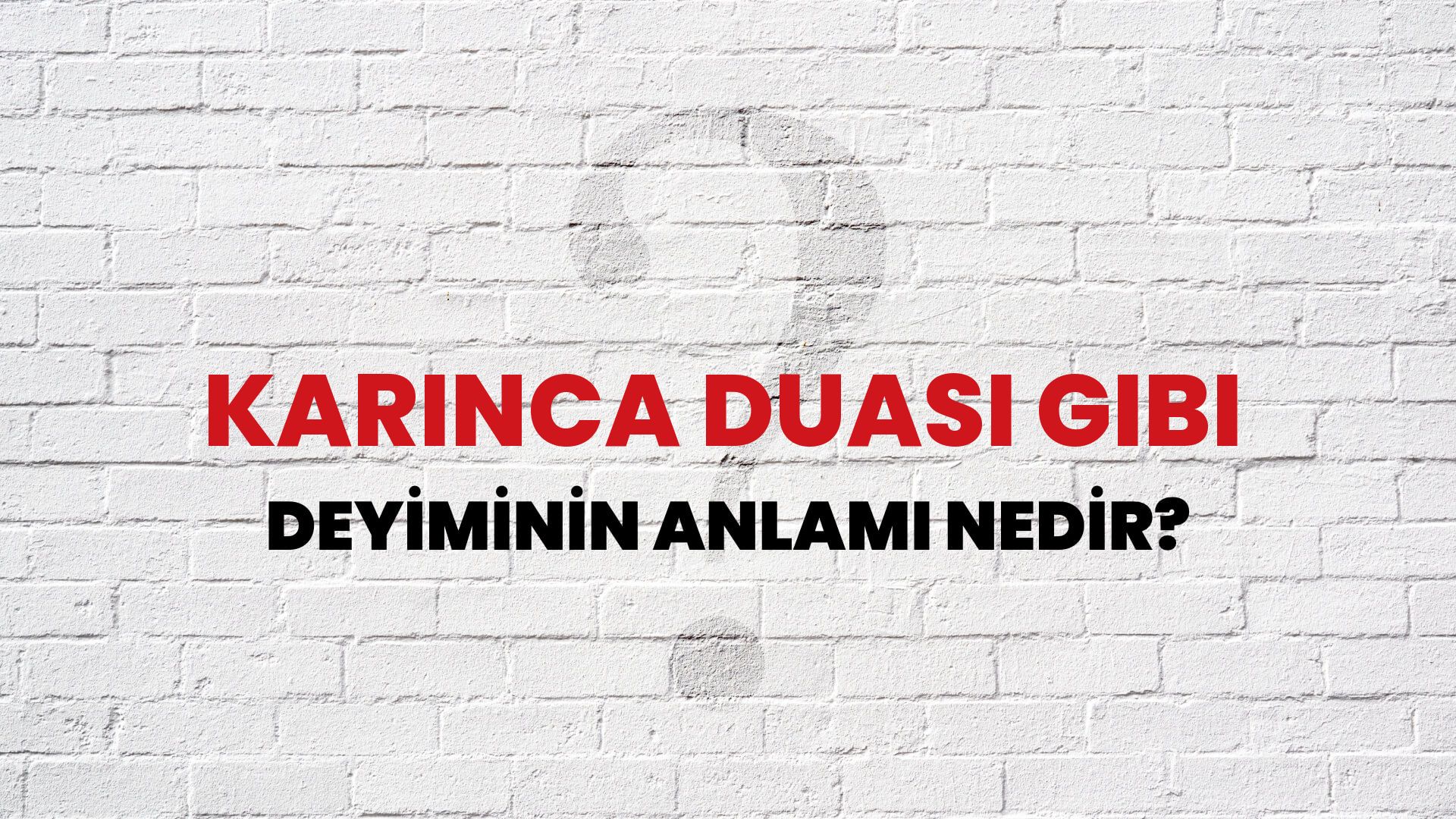 Karınca Duası Gibi Deyiminin Anlamı Nedir?