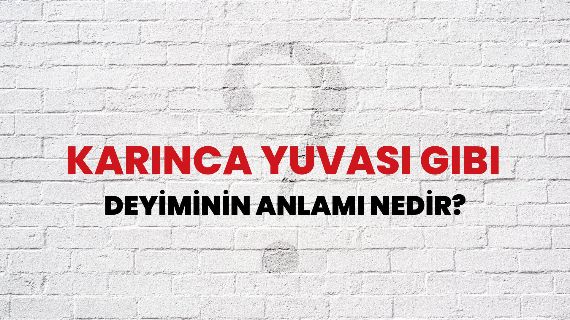 Karınca Yuvası Gibi Deyiminin Anlamı Nedir?