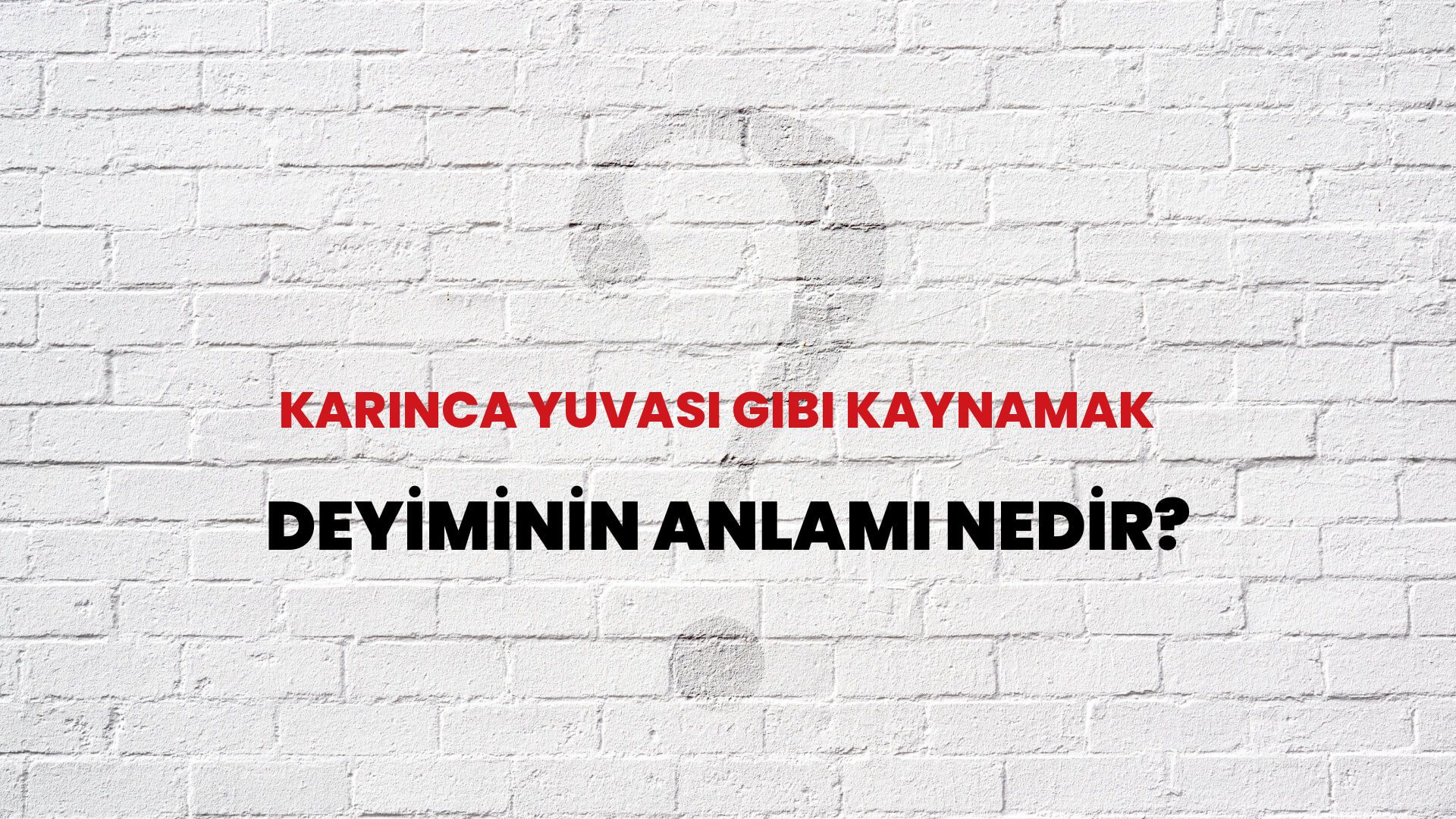 Karınca Yuvası Gibi Kaynamak Deyiminin Anlamı Nedir?