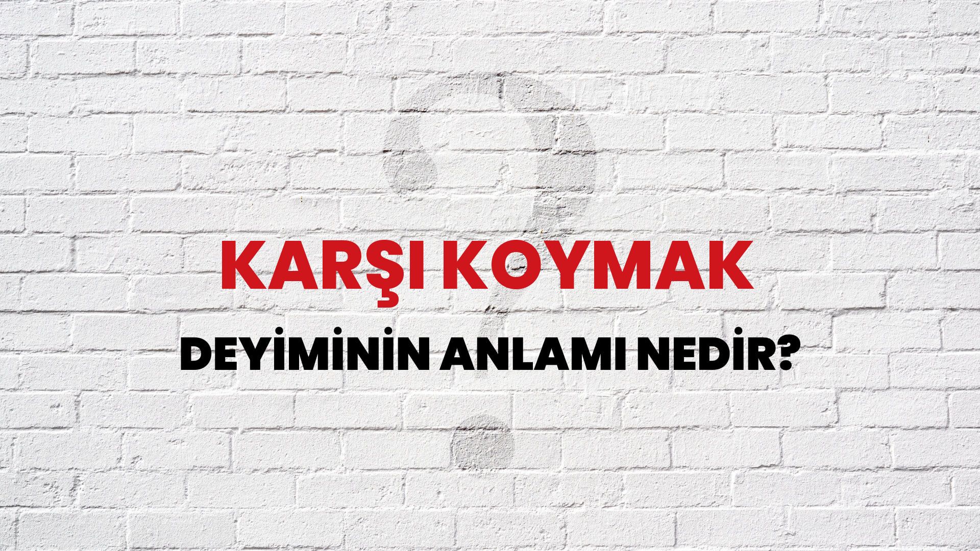 Karşı Koymak Deyiminin Anlamı Nedir?