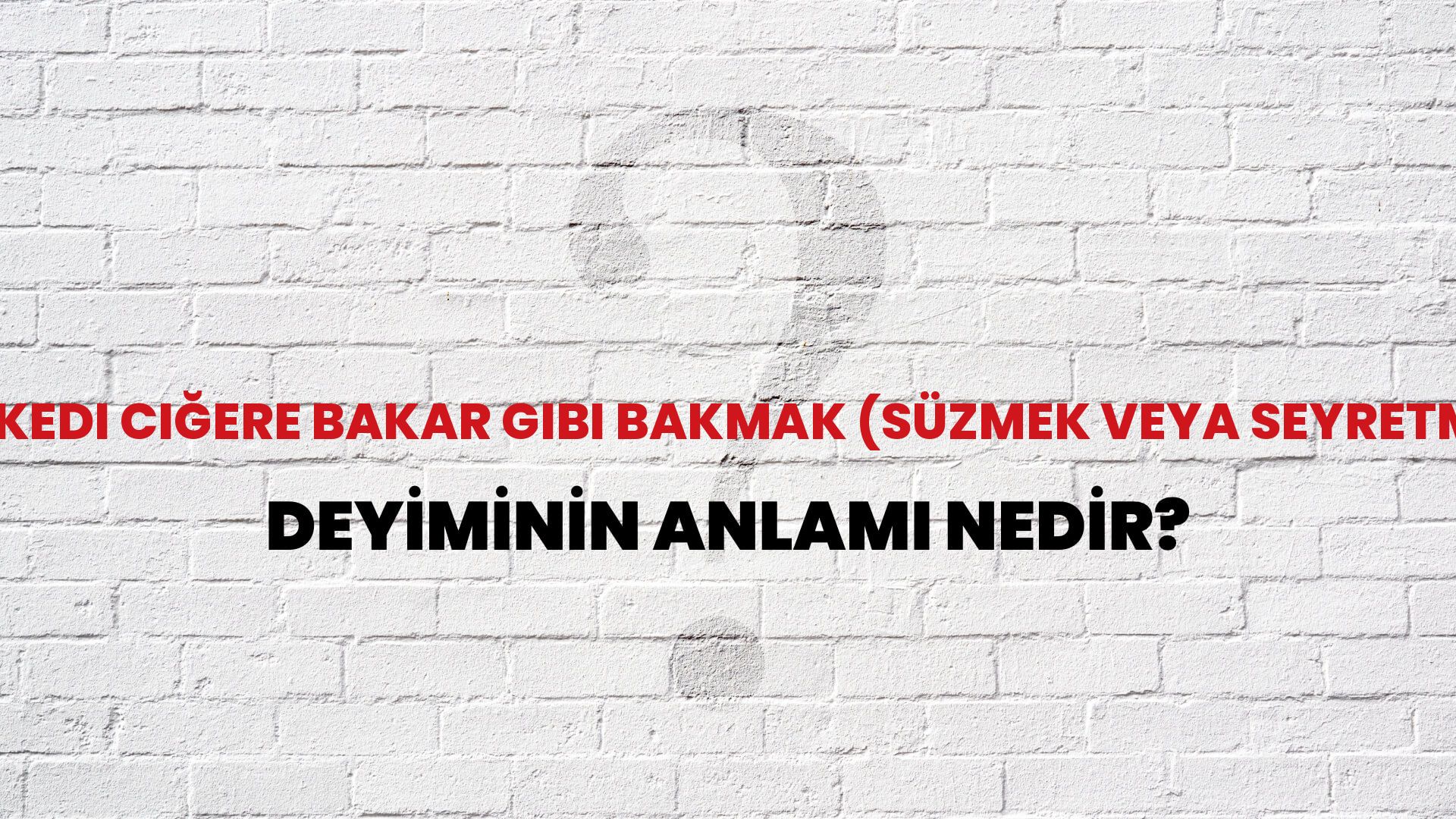 Kedi Ciğere Bakar Gibi Bakmak (Süzmek Veya Seyretmek) Deyiminin Anlamı Nedir?