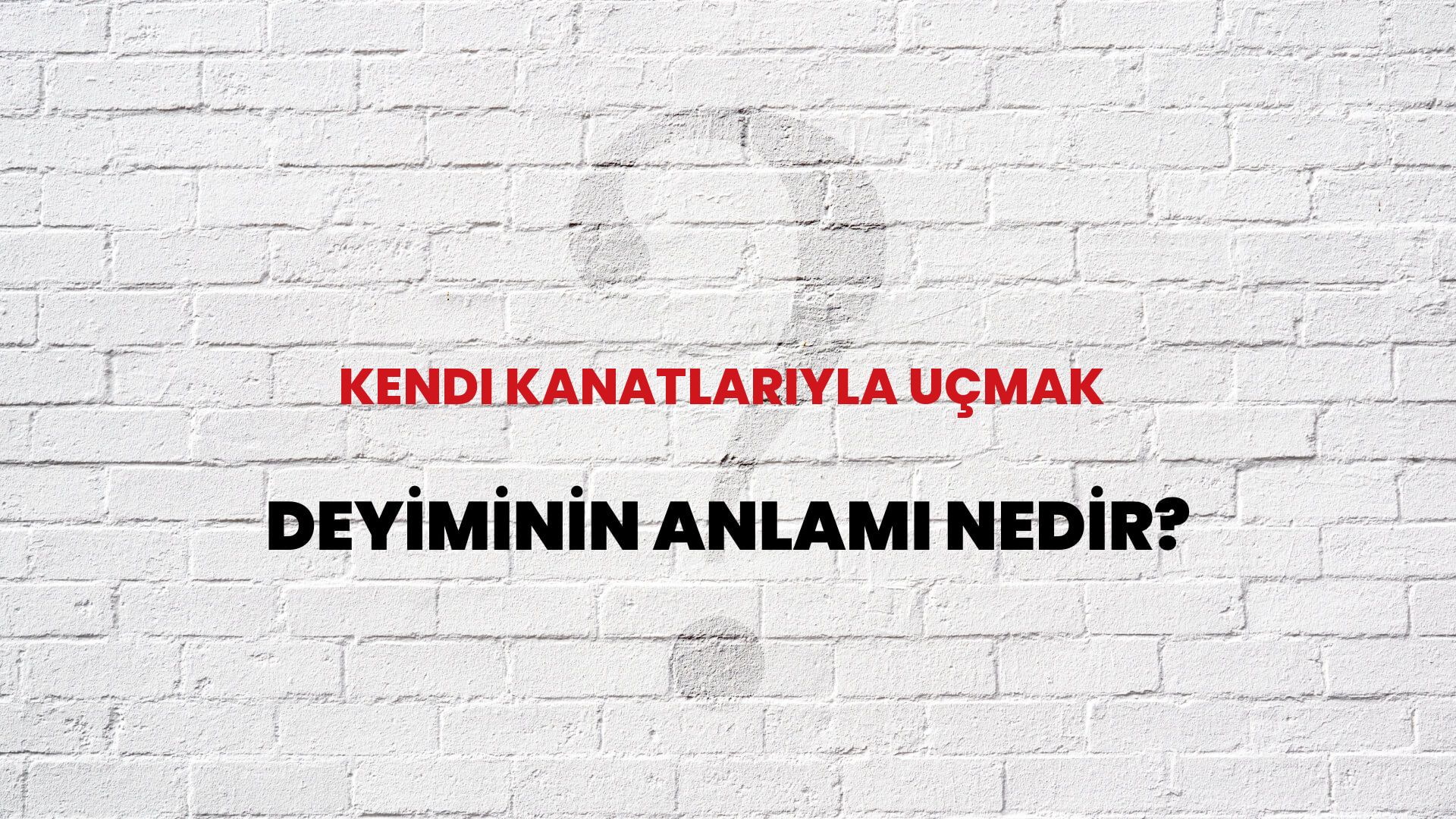 Kendi Kanatlarıyla Uçmak Deyiminin Anlamı Nedir?
