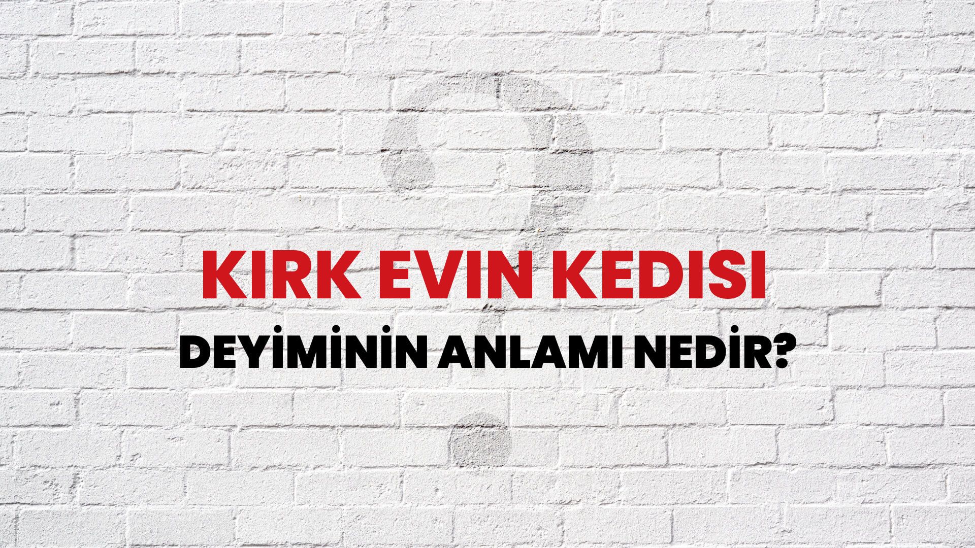 Kırk Evin Kedisi Deyiminin Anlamı Nedir?
