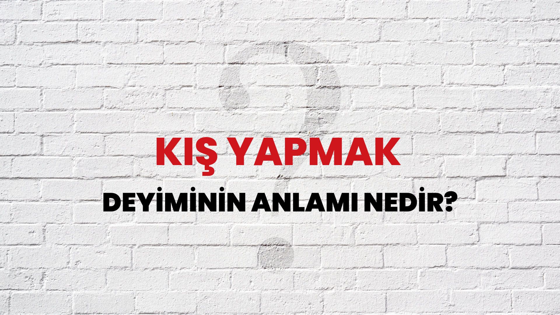 Kış Yapmak Deyiminin Anlamı Nedir?
